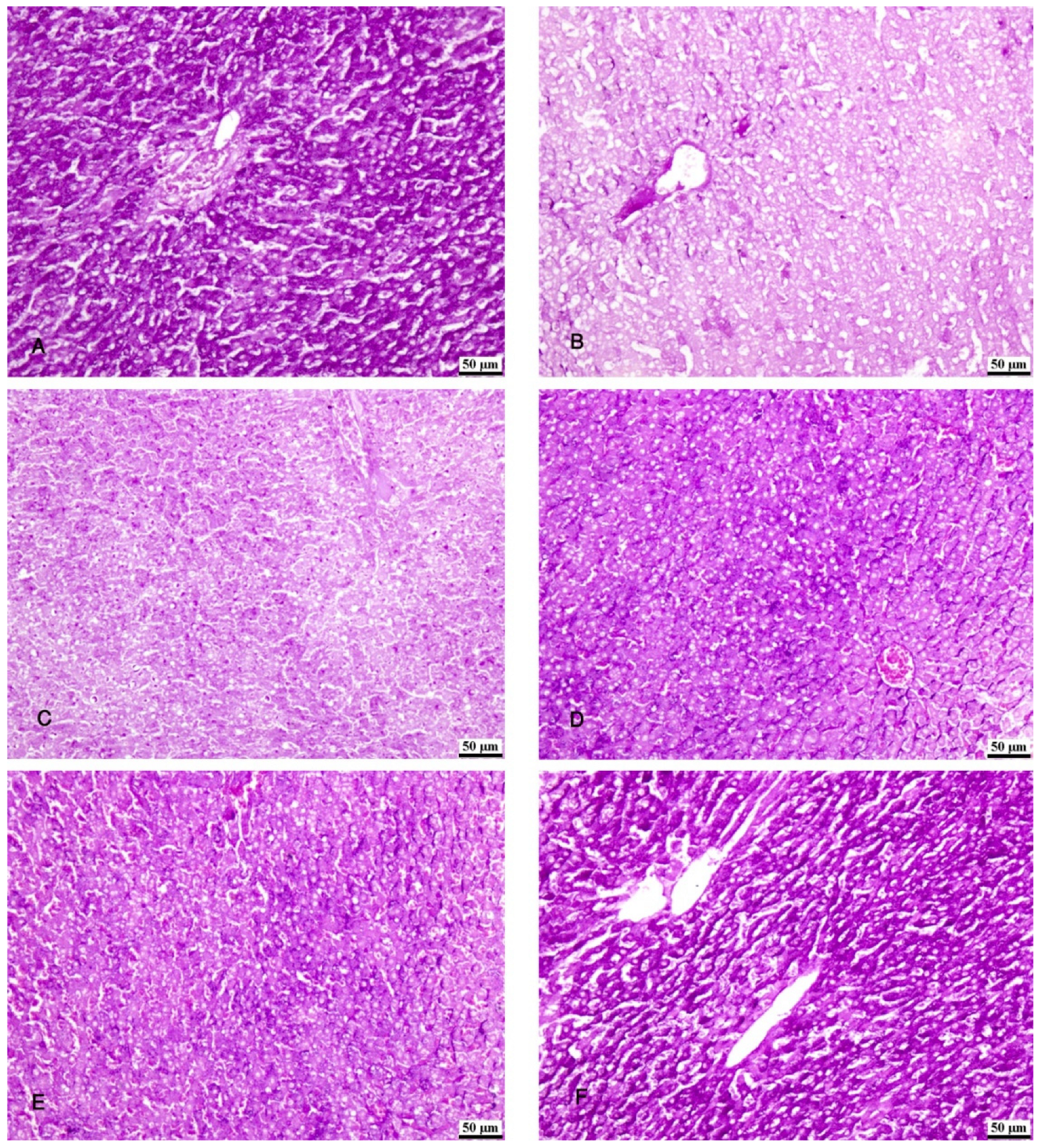 Biomolecules 14 00297 g007