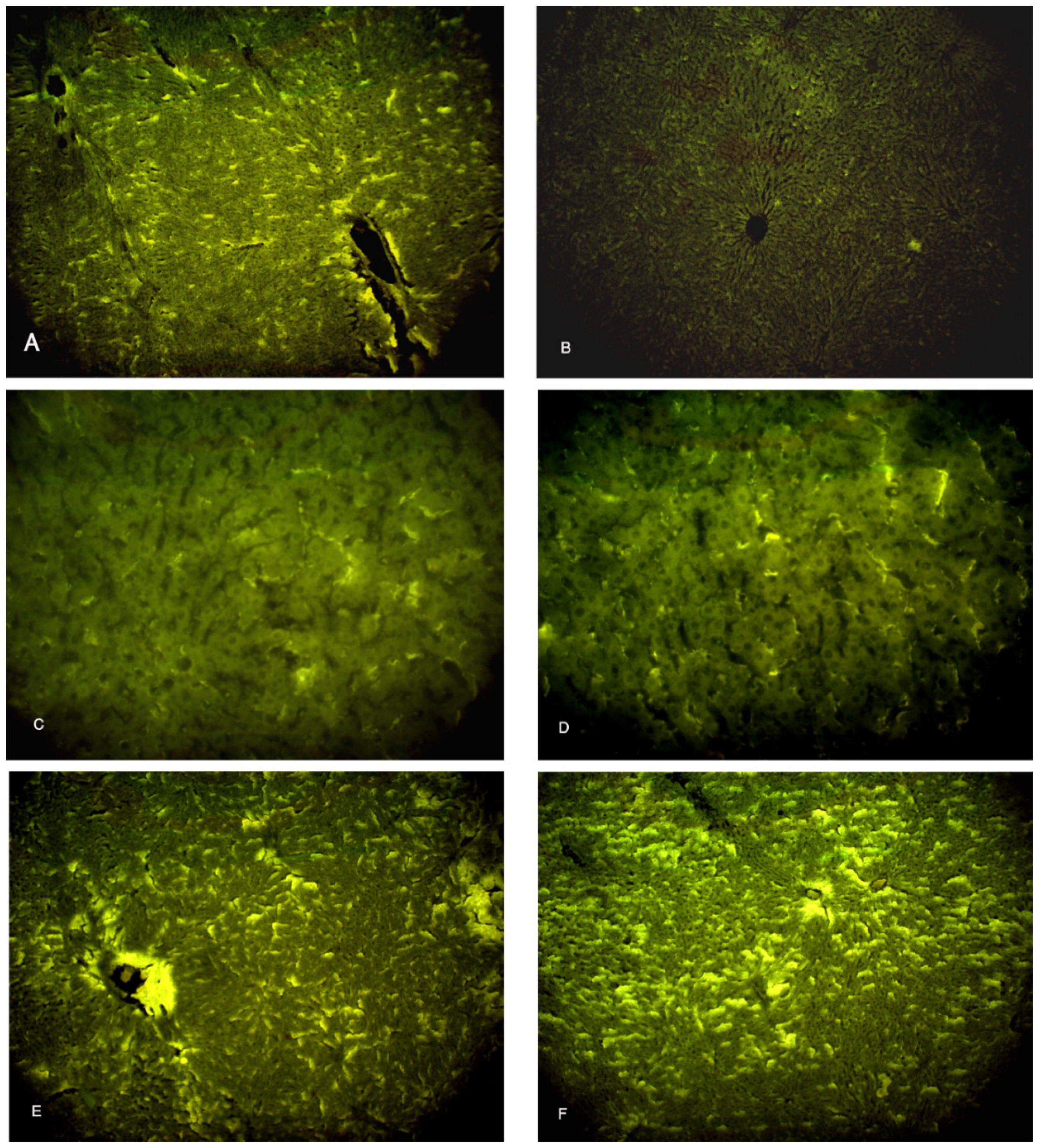Biomolecules 14 00297 g008