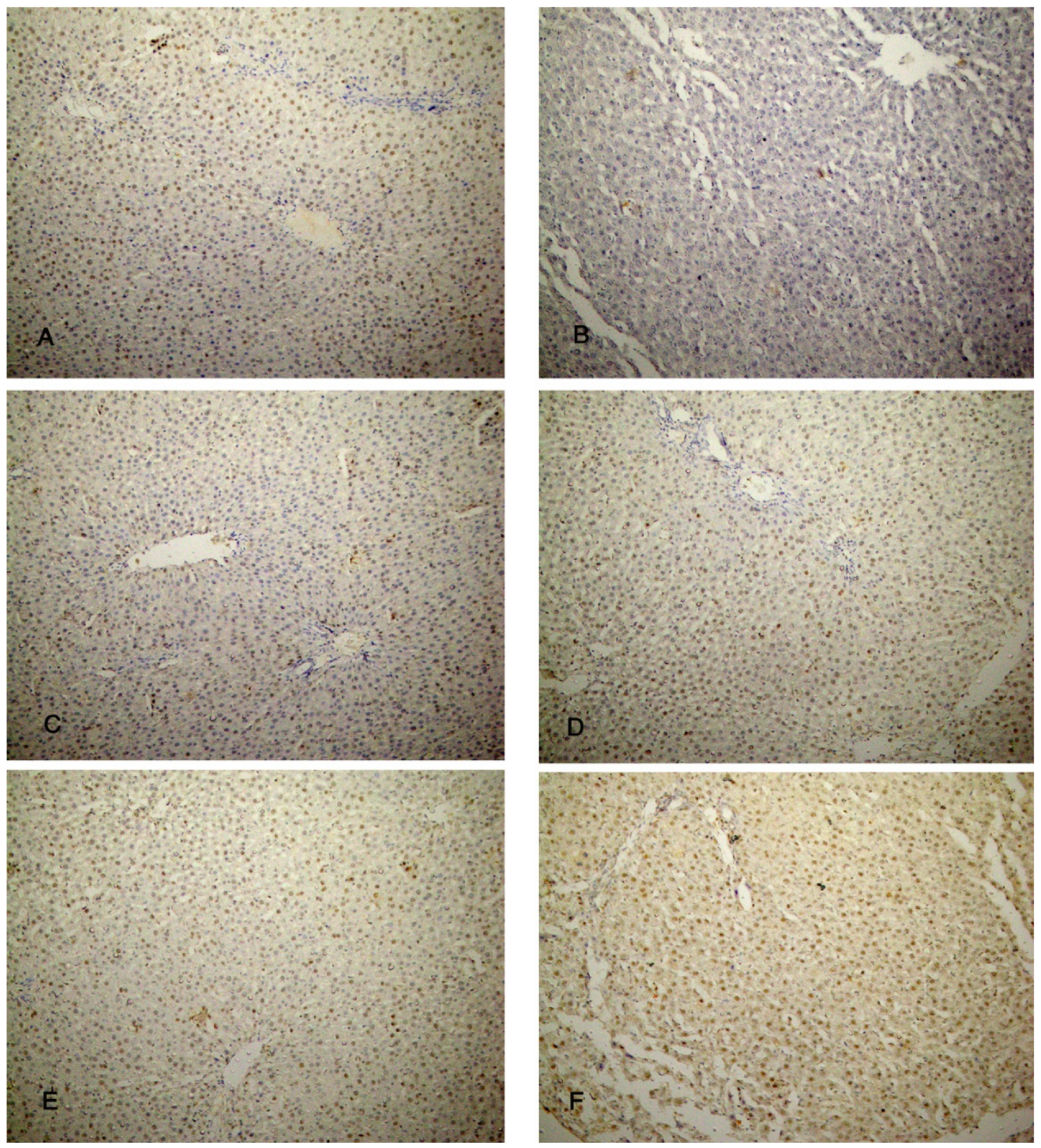 Biomolecules 14 00297 g009