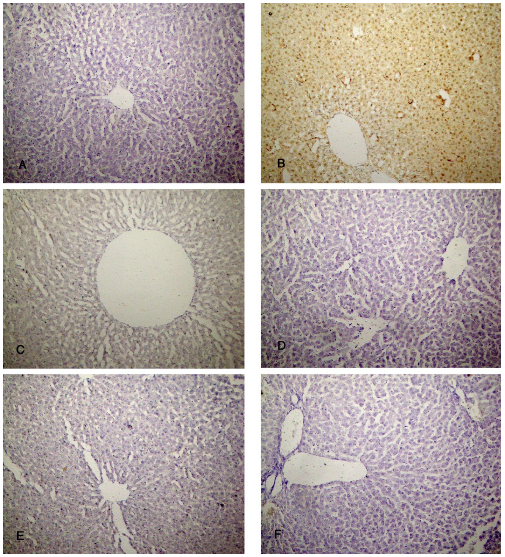 Biomolecules 14 00297 g010