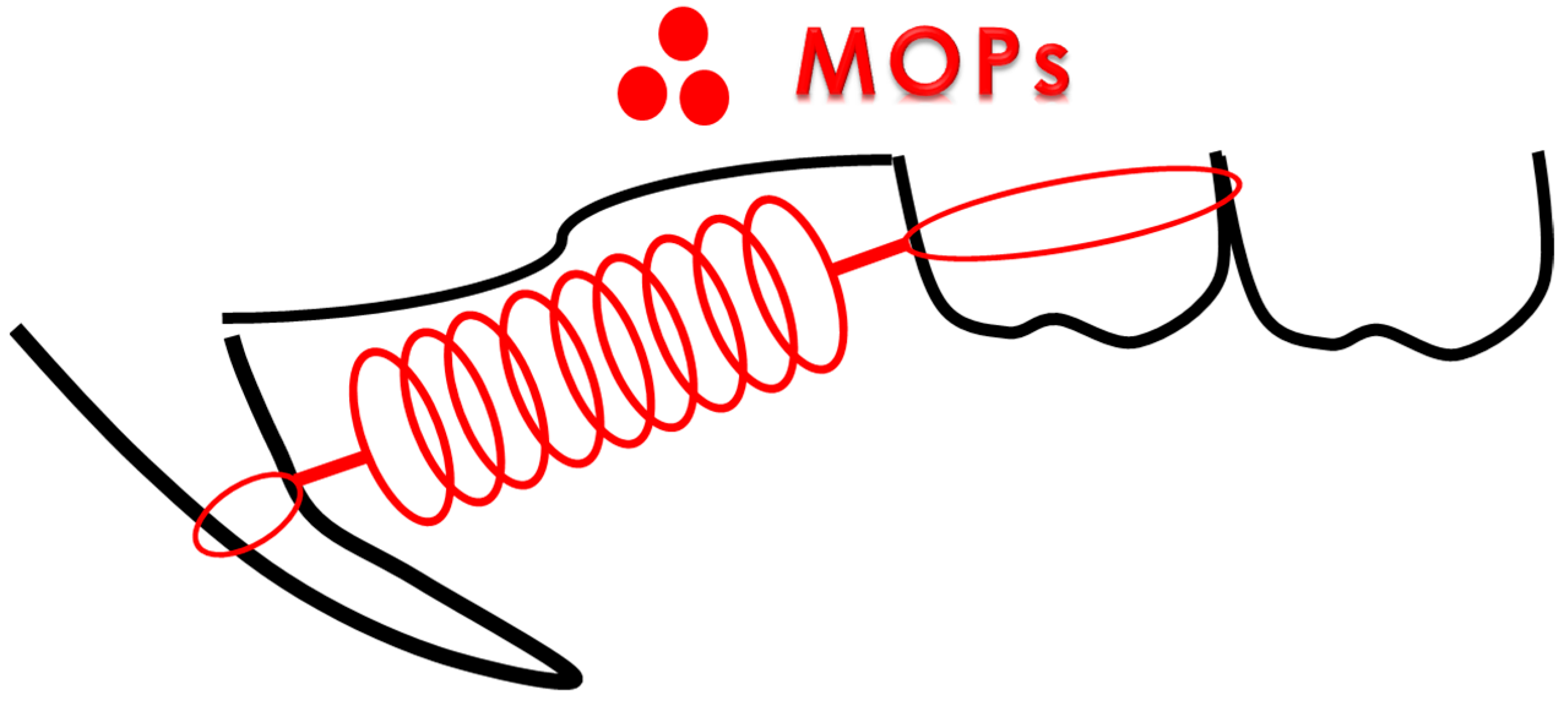 Biomolecules 14 00300 g002