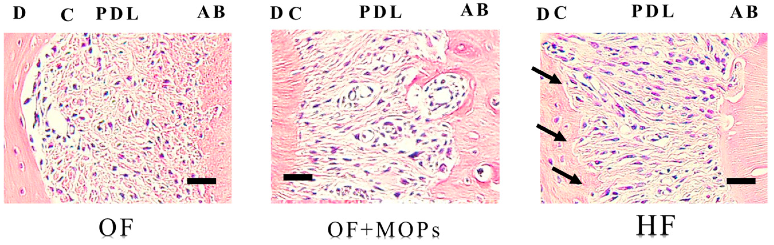 Biomolecules 14 00300 g006