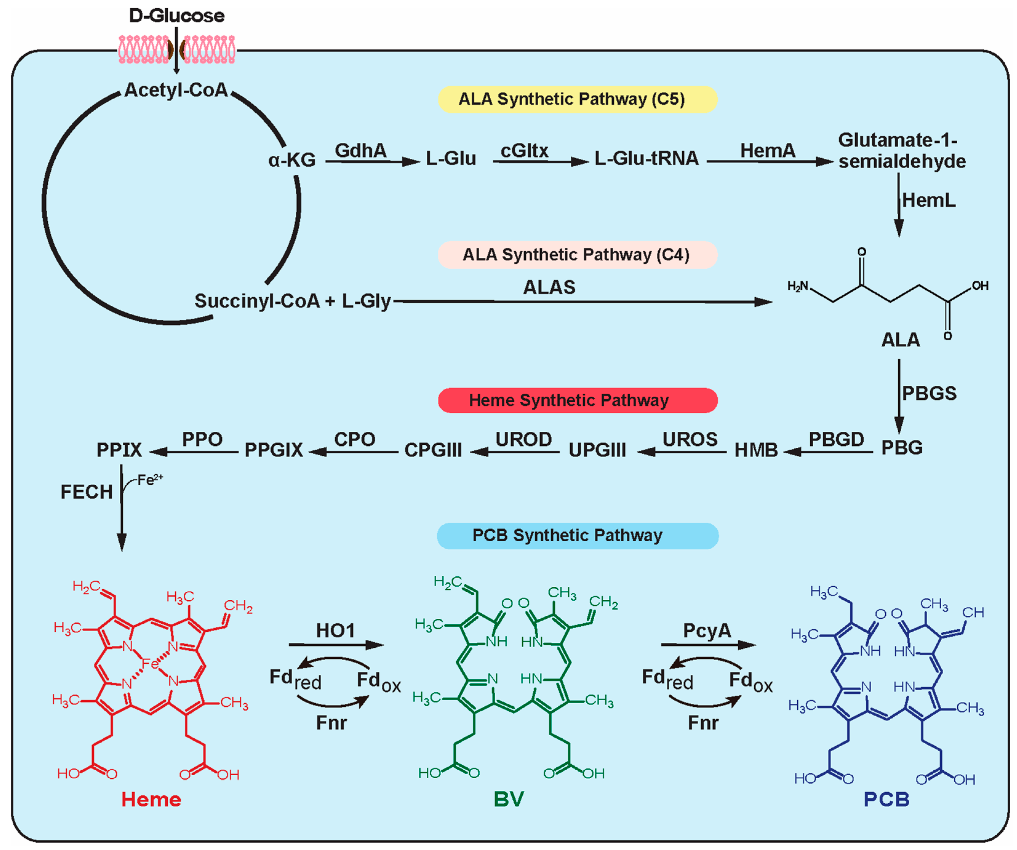 Biomolecules 14 00301 g001
