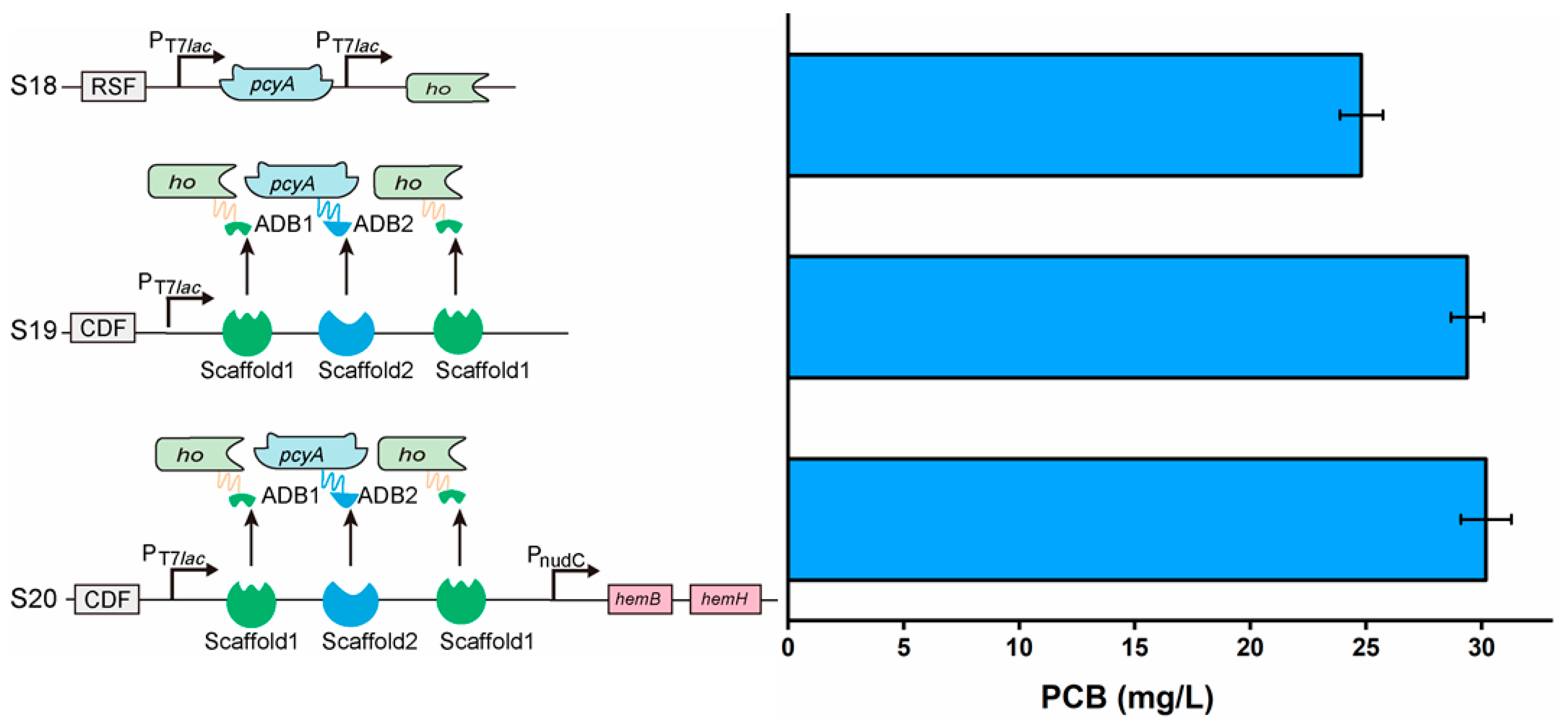 Biomolecules 14 00301 g008