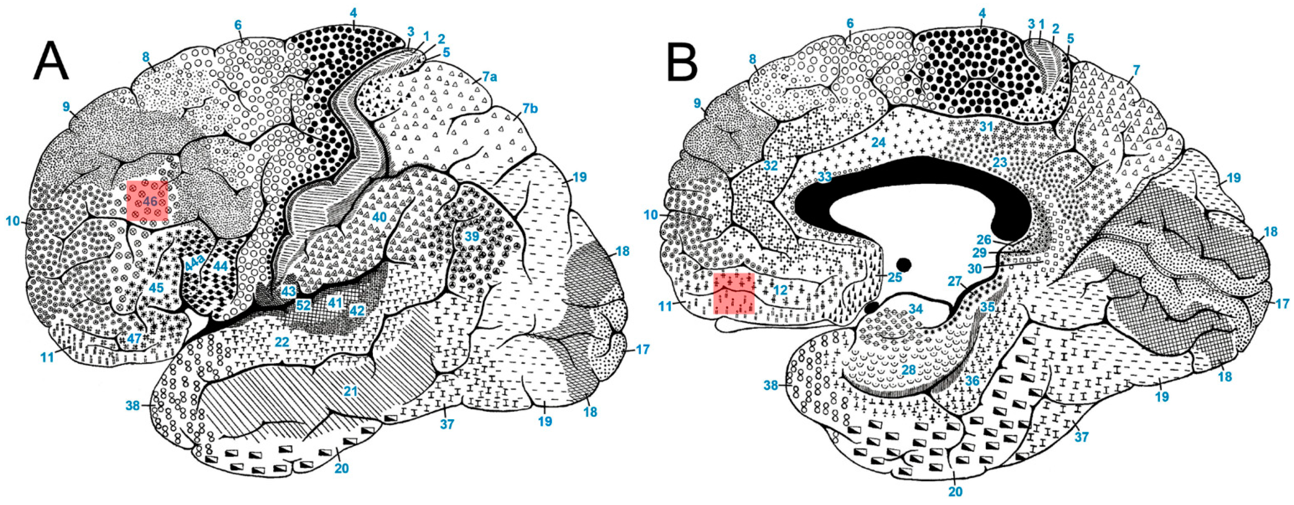 Biomolecules 14 00302 g001 Biomolecules 14 00302 g001