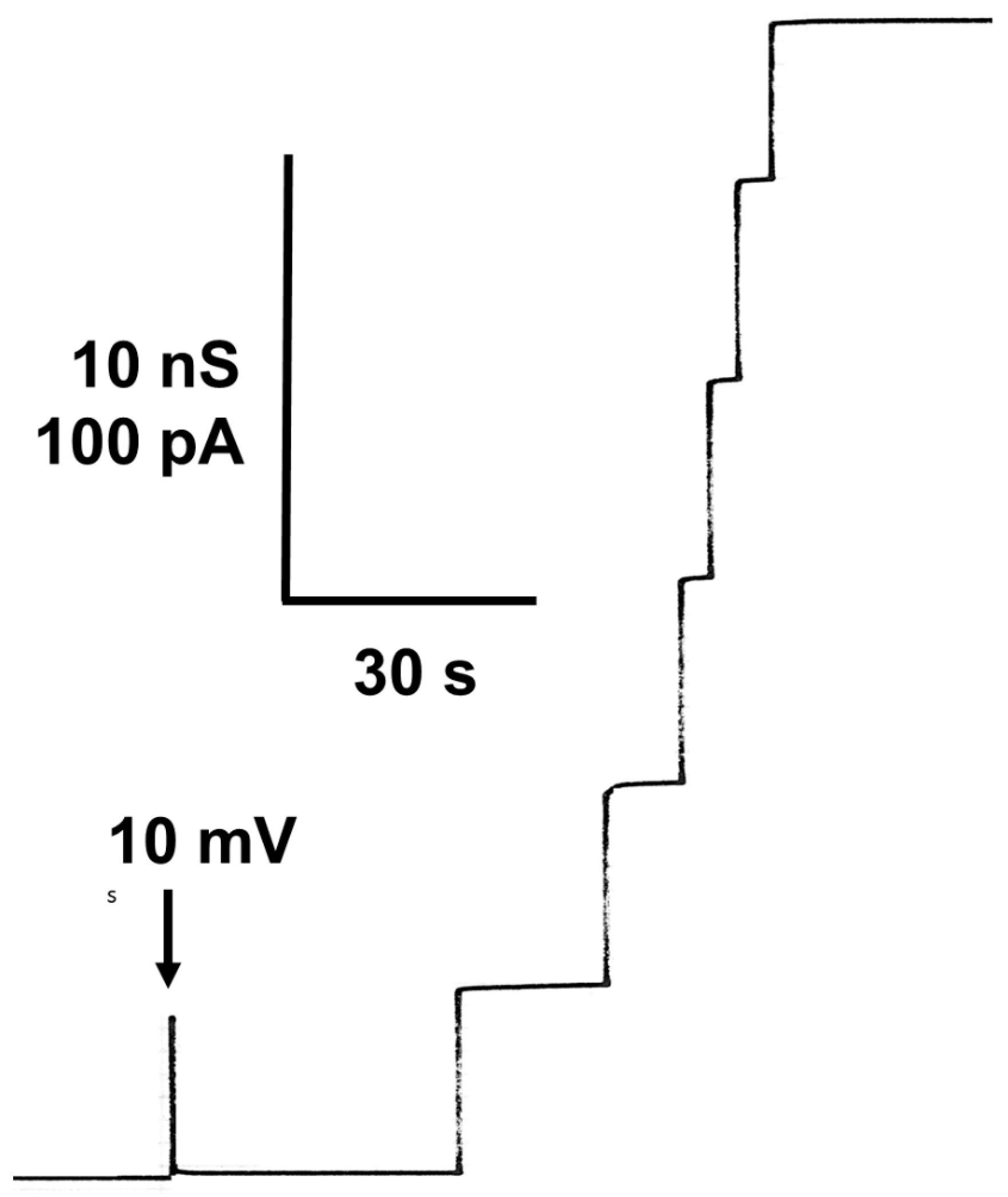 Biomolecules 14 00303 g001 Biomolecules 14 00303 g001