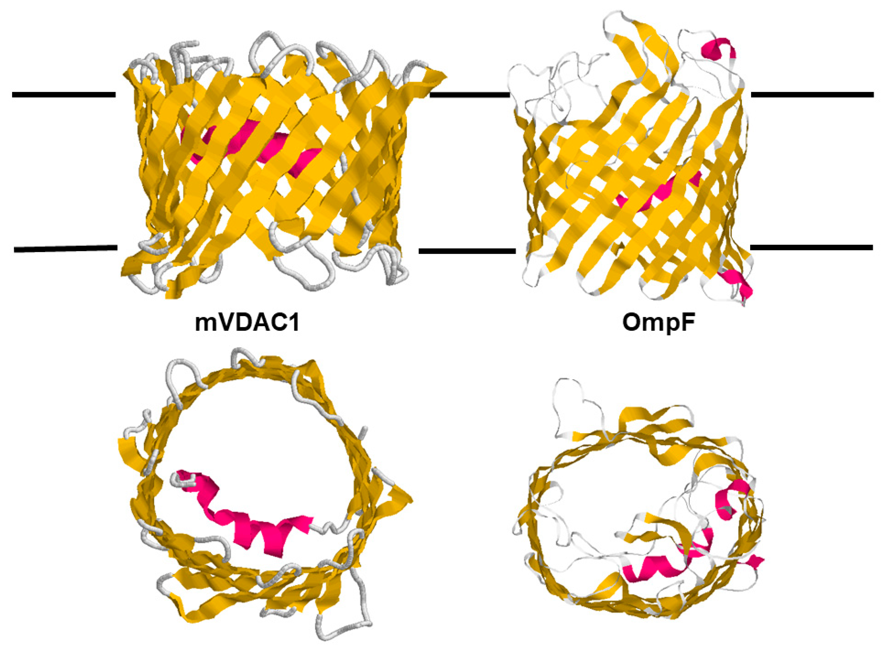 Biomolecules 14 00303 g008 Biomolecules 14 00303 g008