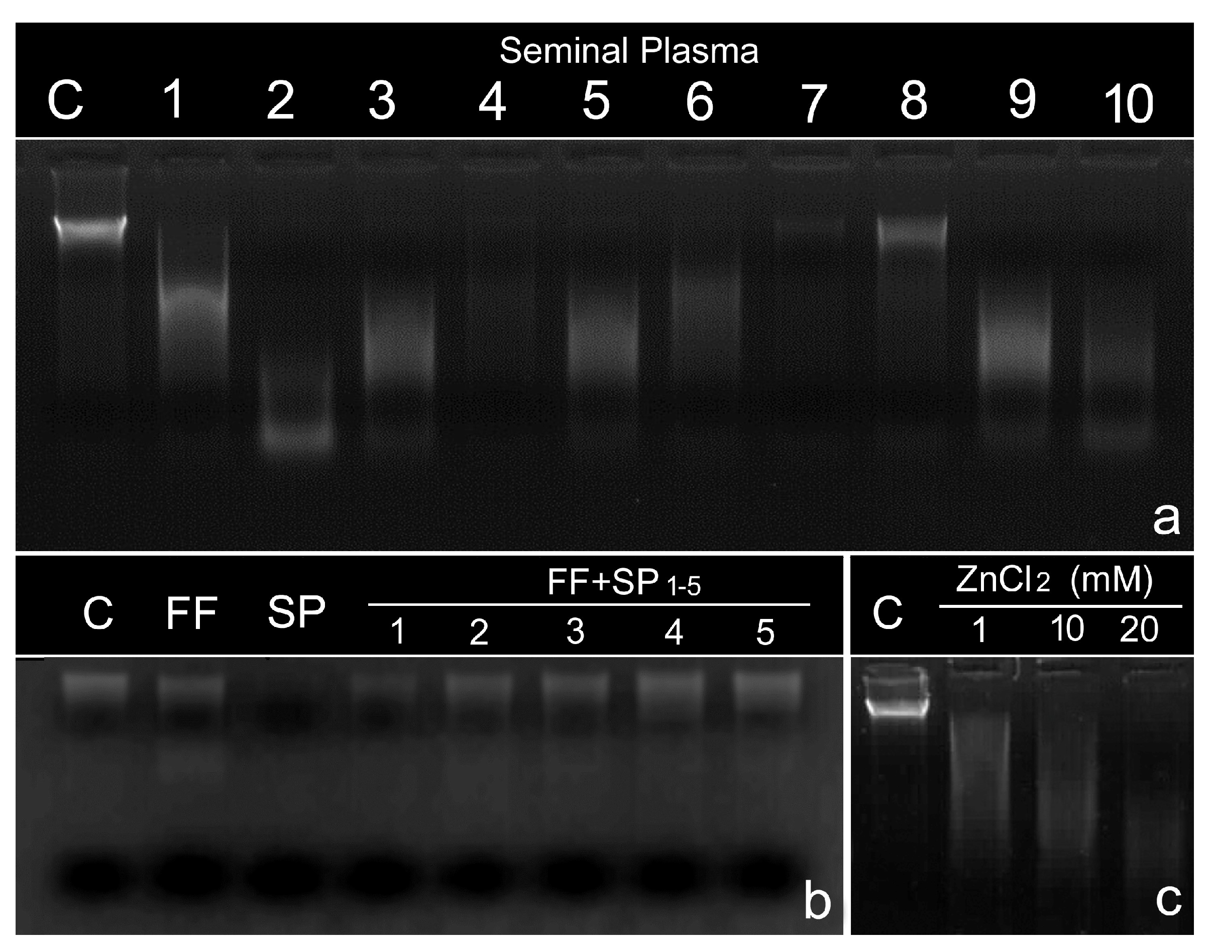 Biomolecules 14 00304 g001 Biomolecules 14 00304 g001