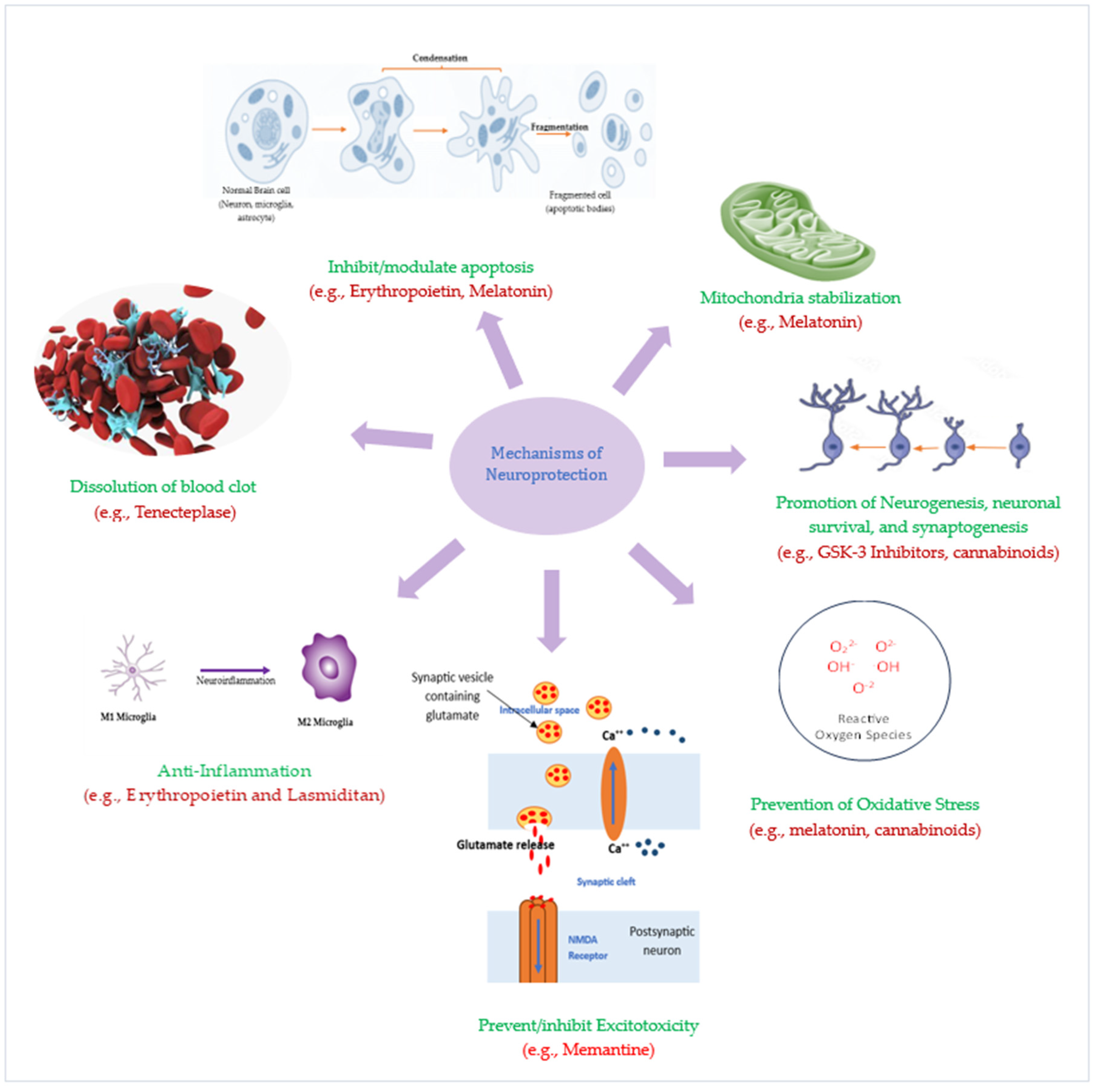 Biomolecules 14 00305 g003 Biomolecules 14 00305 g003