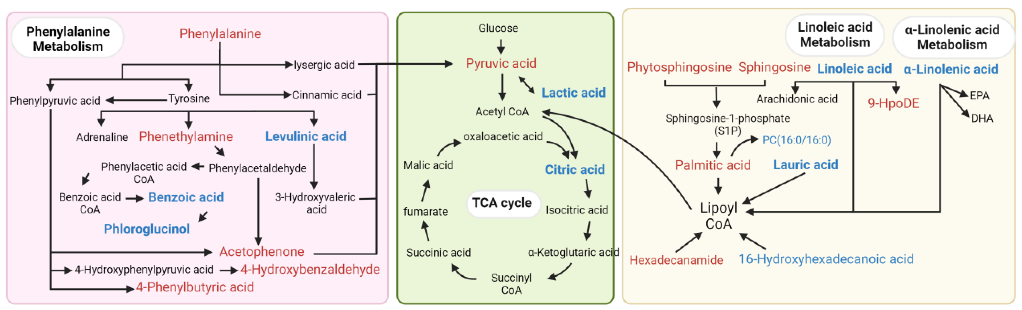 Biomolecules 14 00307 g002