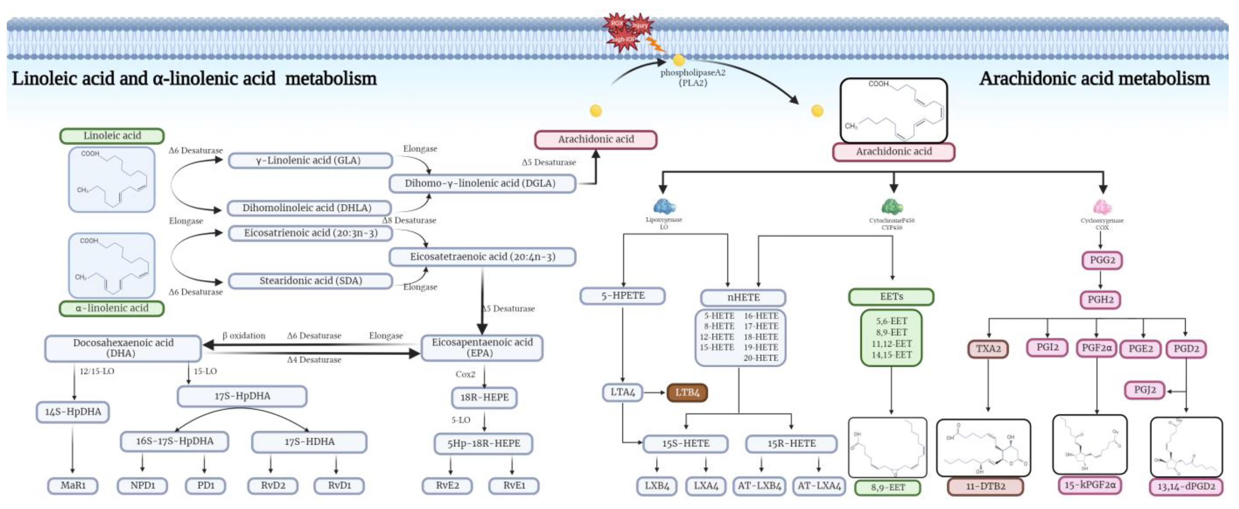 Biomolecules 14 00307 g006