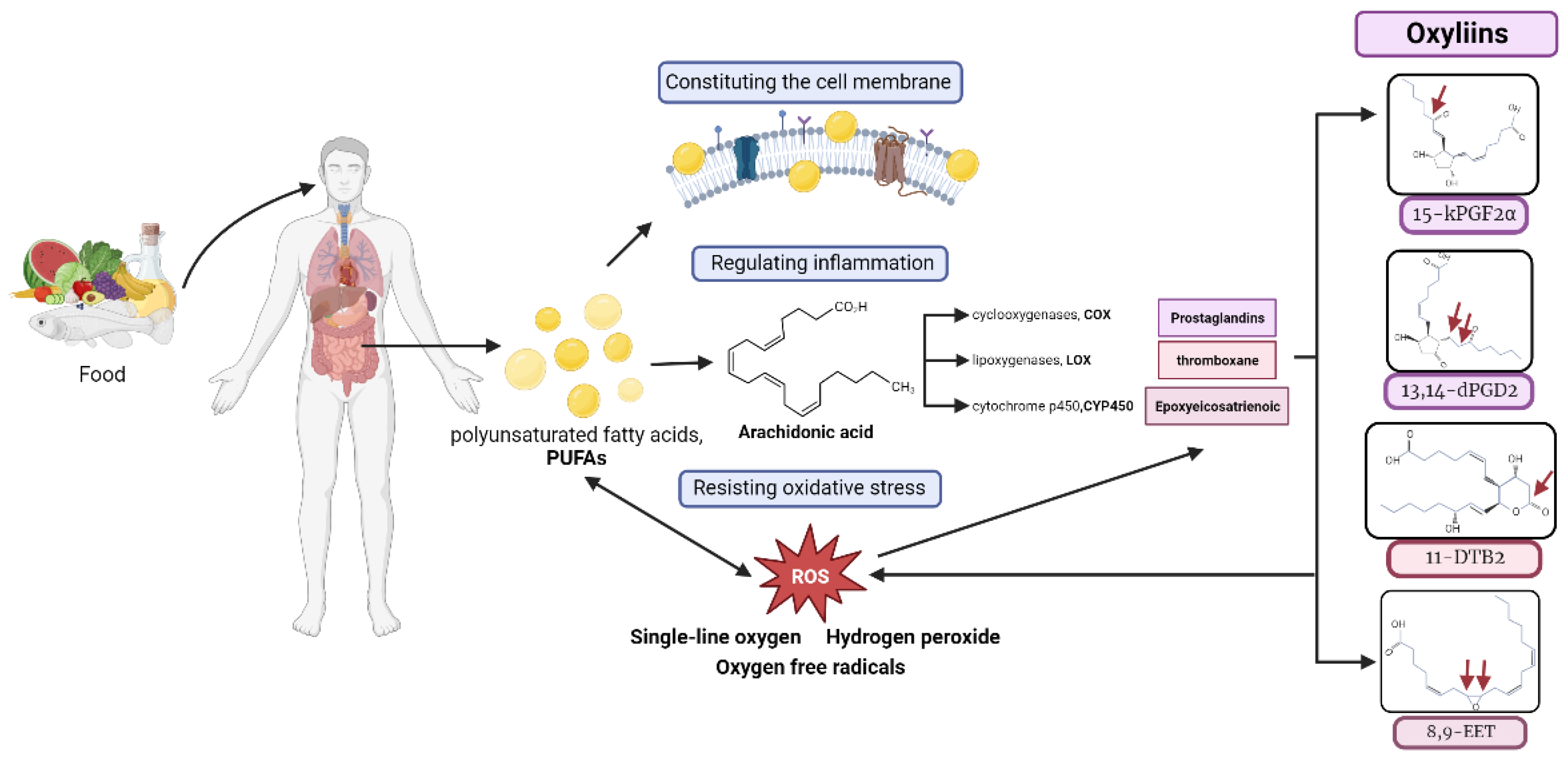 Biomolecules 14 00307 g007