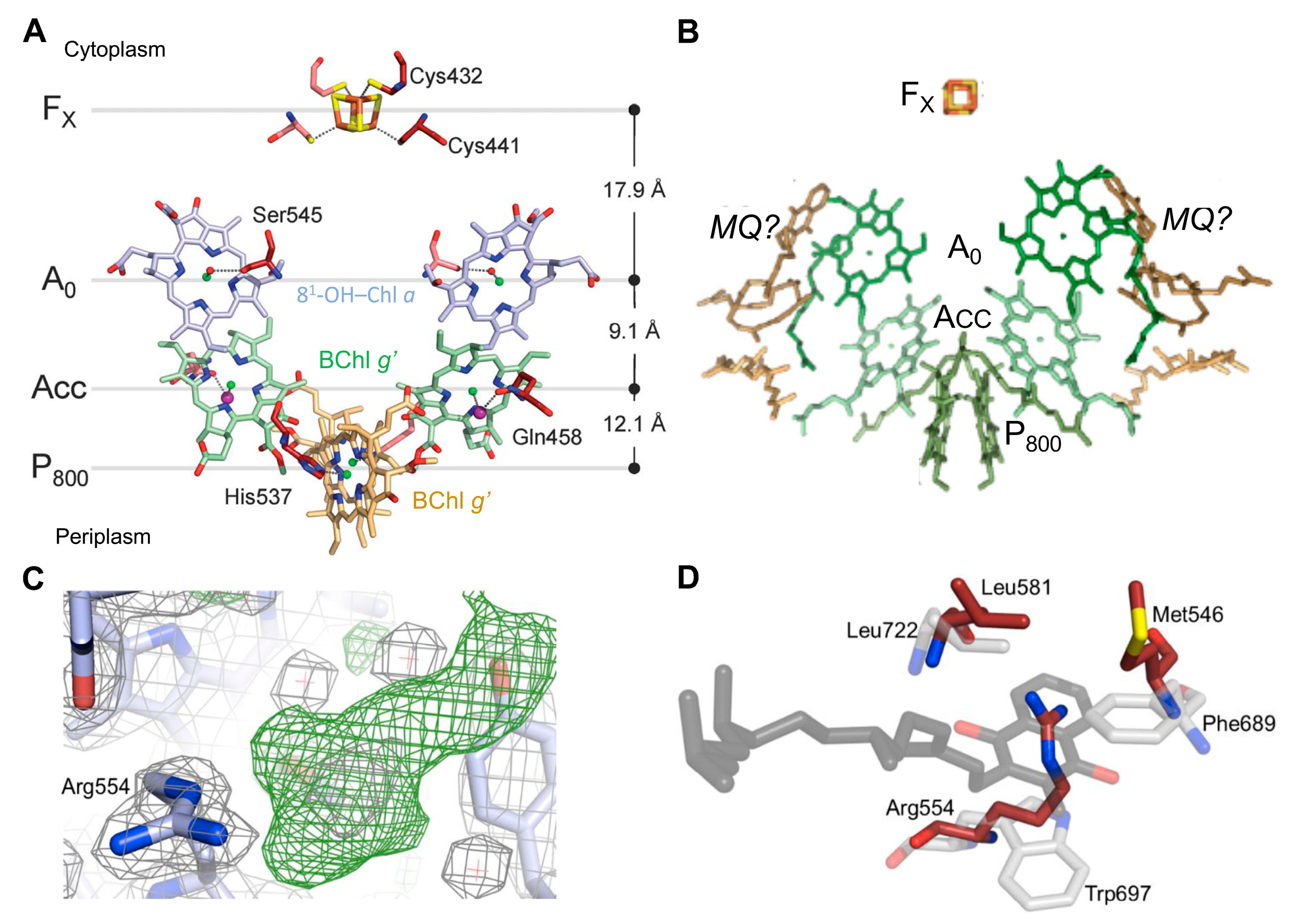 Biomolecules 14 00311 g002 Biomolecules 14 00311 g002