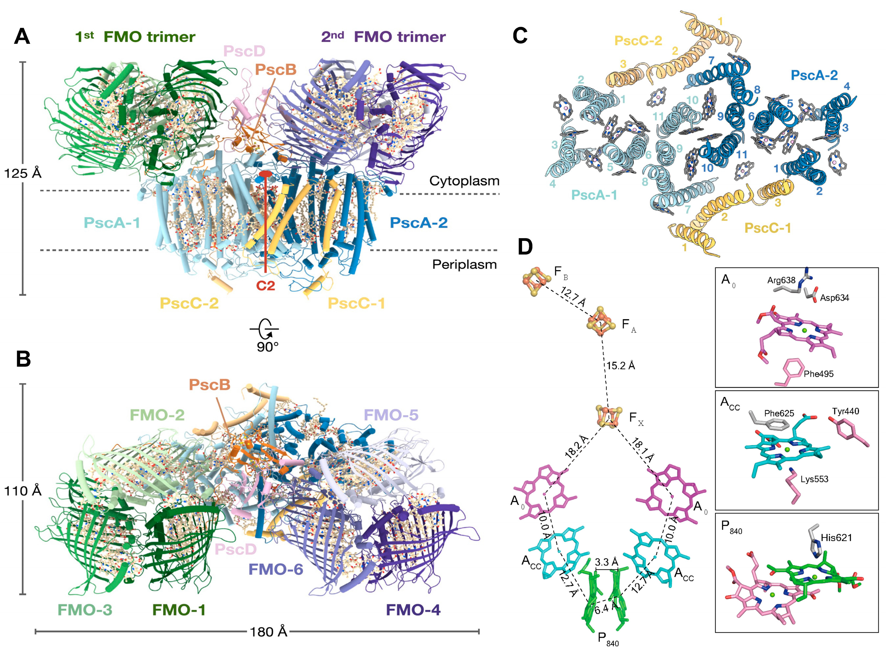 Biomolecules 14 00311 g003 Biomolecules 14 00311 g003