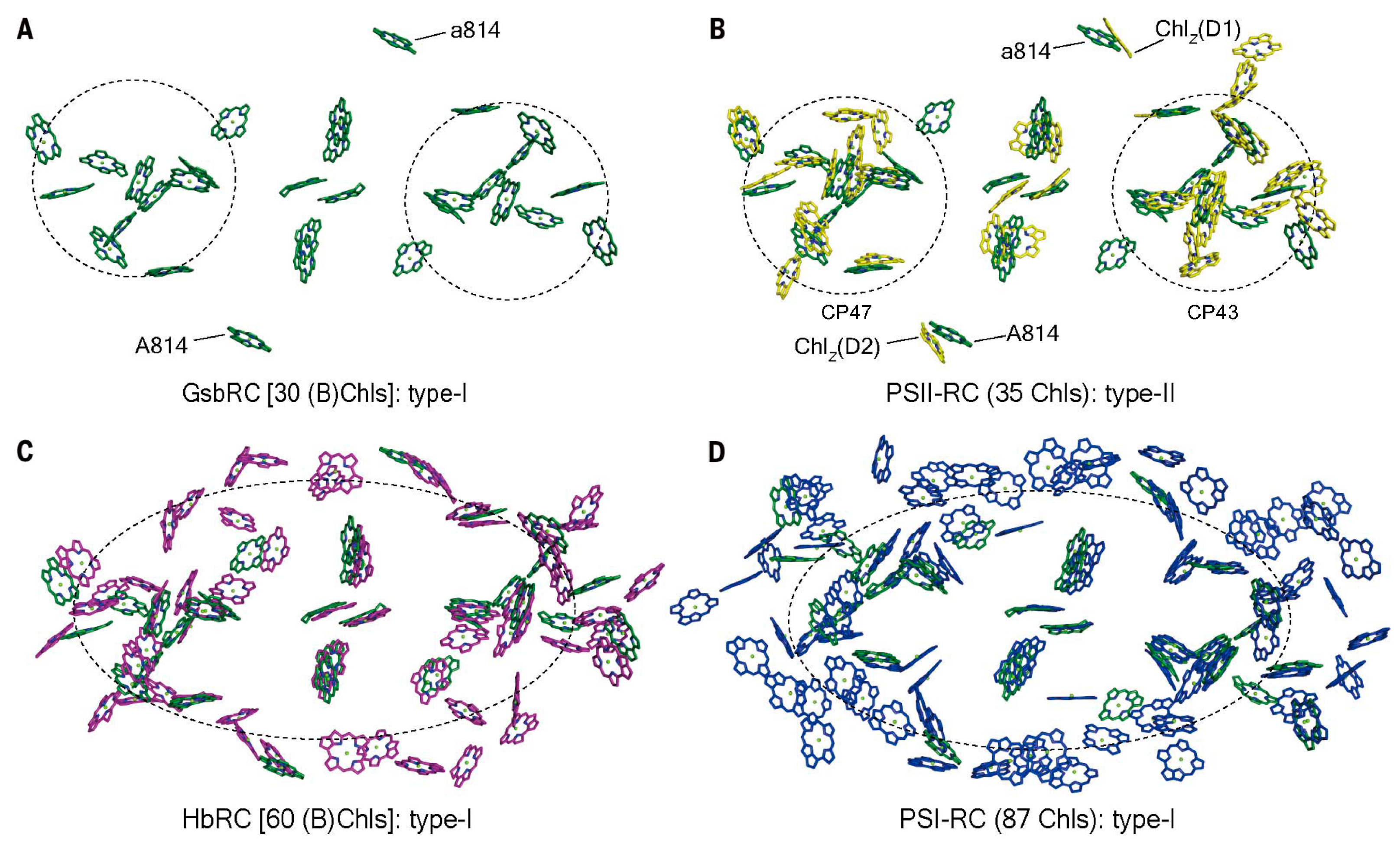 Biomolecules 14 00311 g004 Biomolecules 14 00311 g004