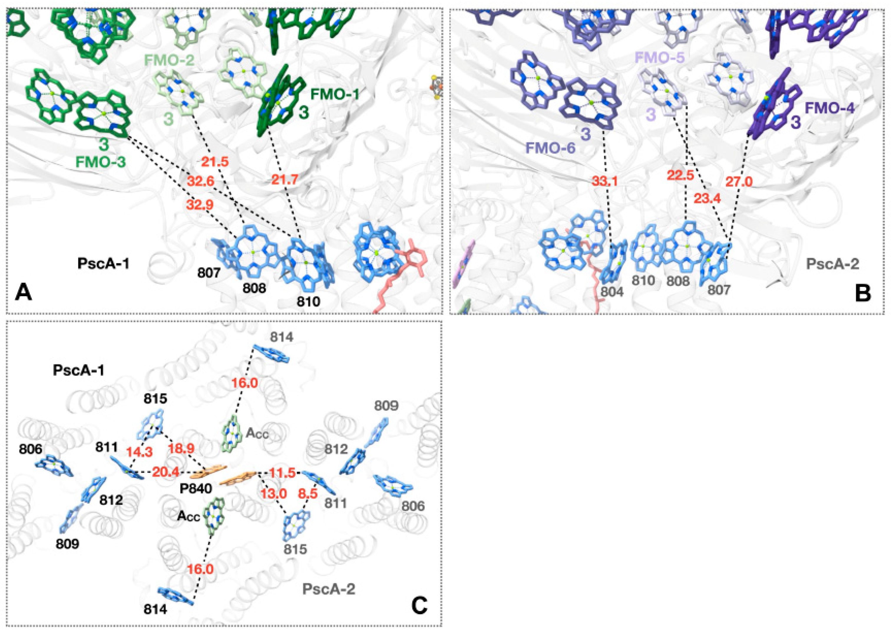 Biomolecules 14 00311 g005 Biomolecules 14 00311 g005