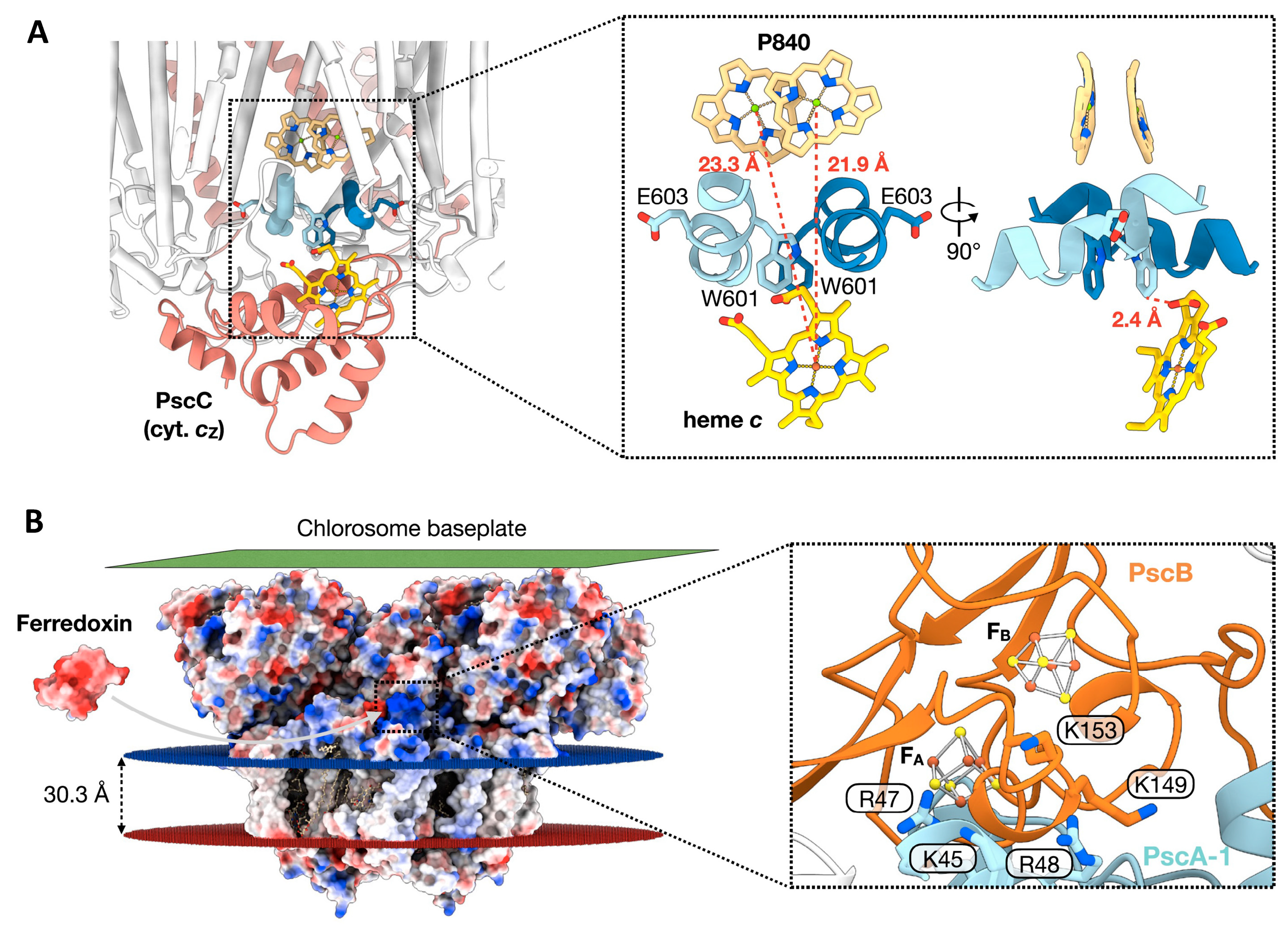 Biomolecules 14 00311 g006 Biomolecules 14 00311 g006