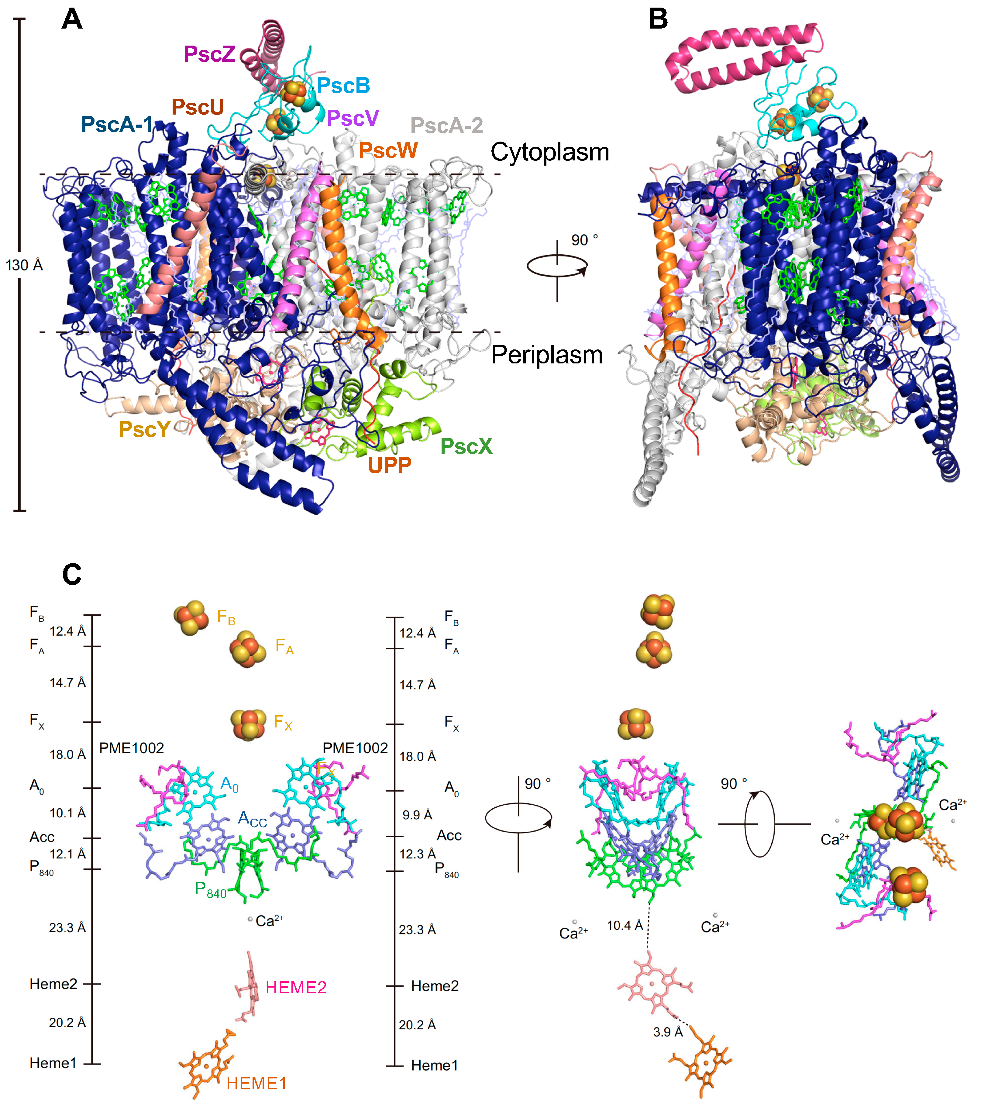 Biomolecules 14 00311 g007 Biomolecules 14 00311 g007