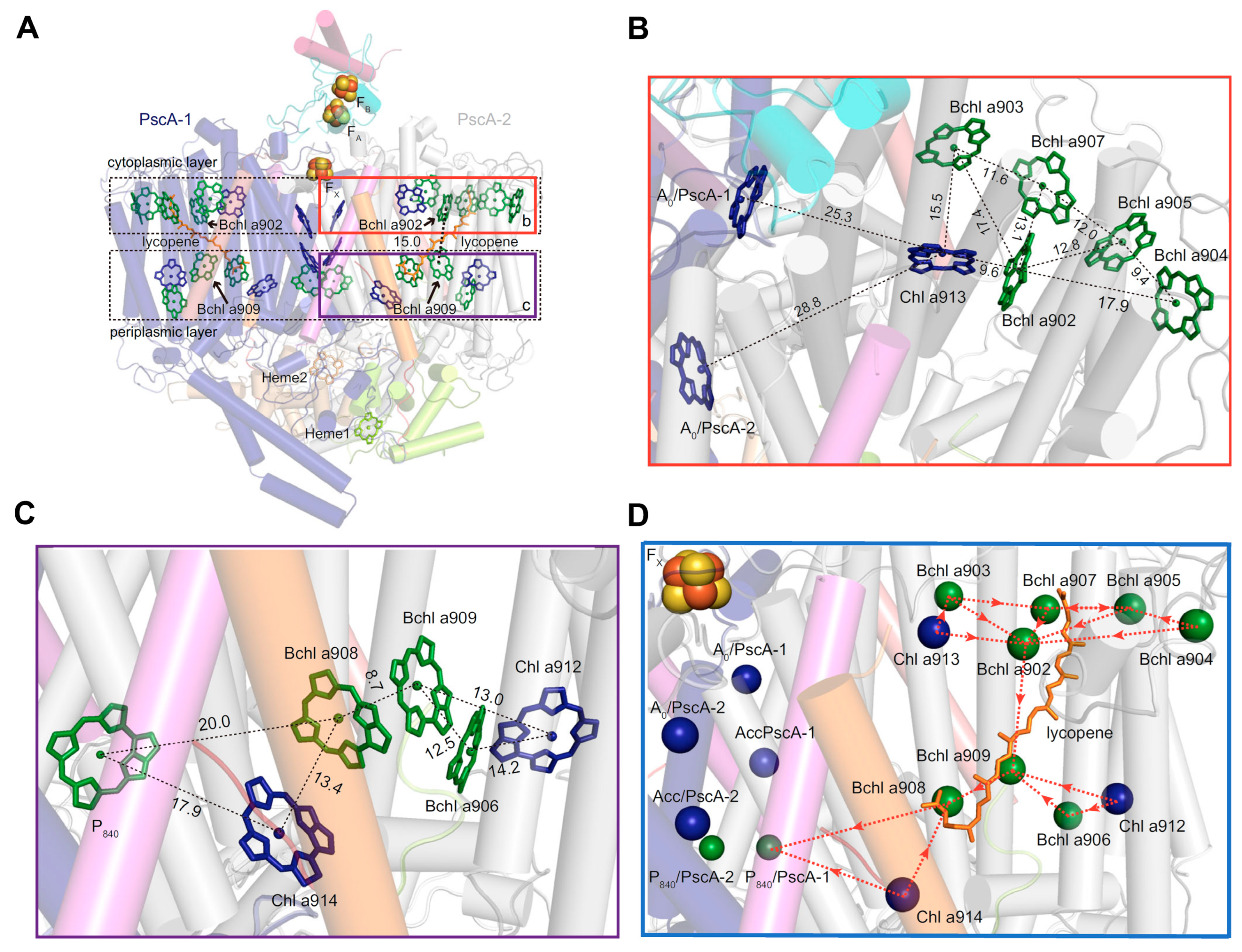 Biomolecules 14 00311 g008 Biomolecules 14 00311 g008