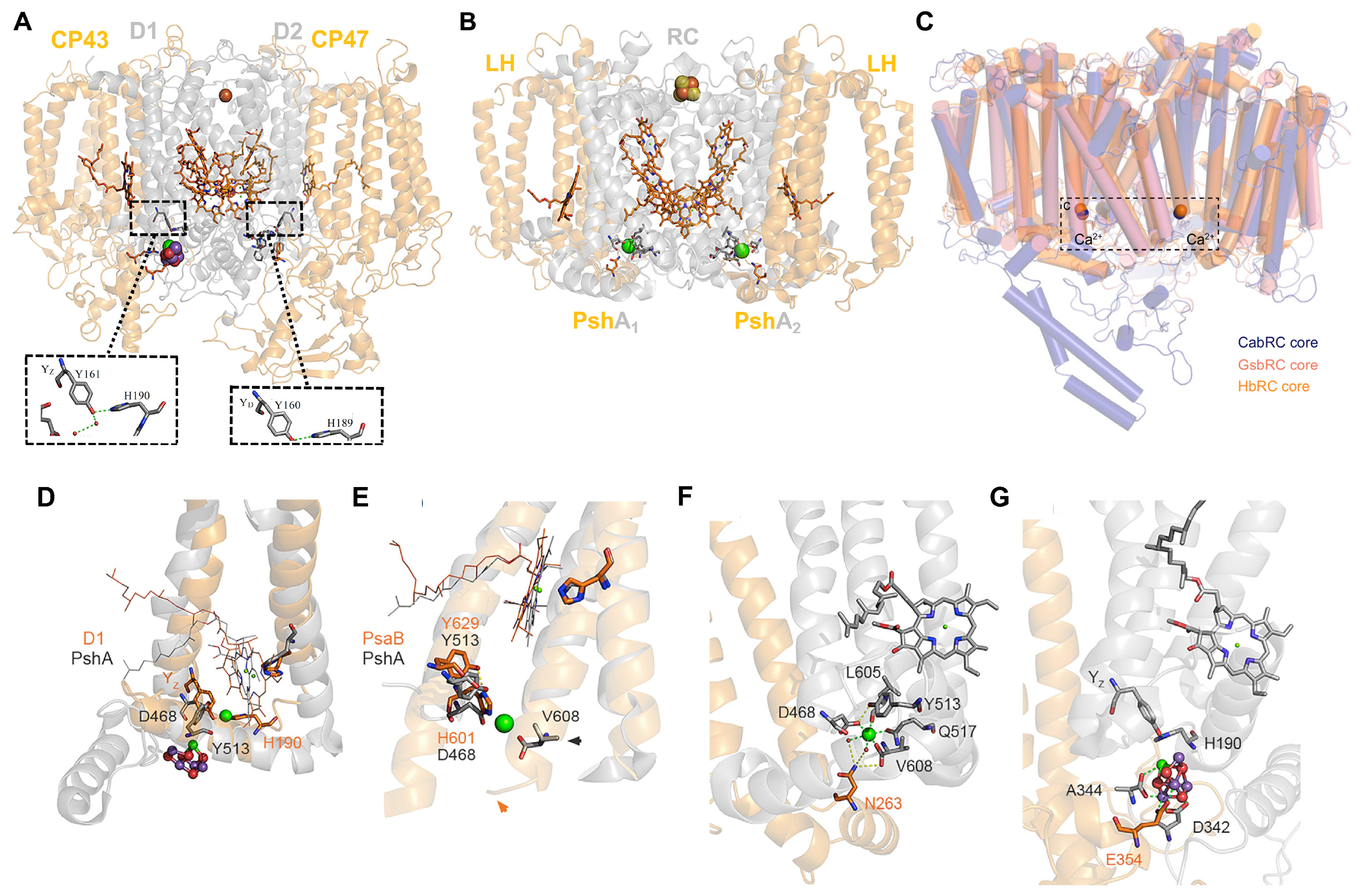 Biomolecules 14 00311 g009 Biomolecules 14 00311 g009