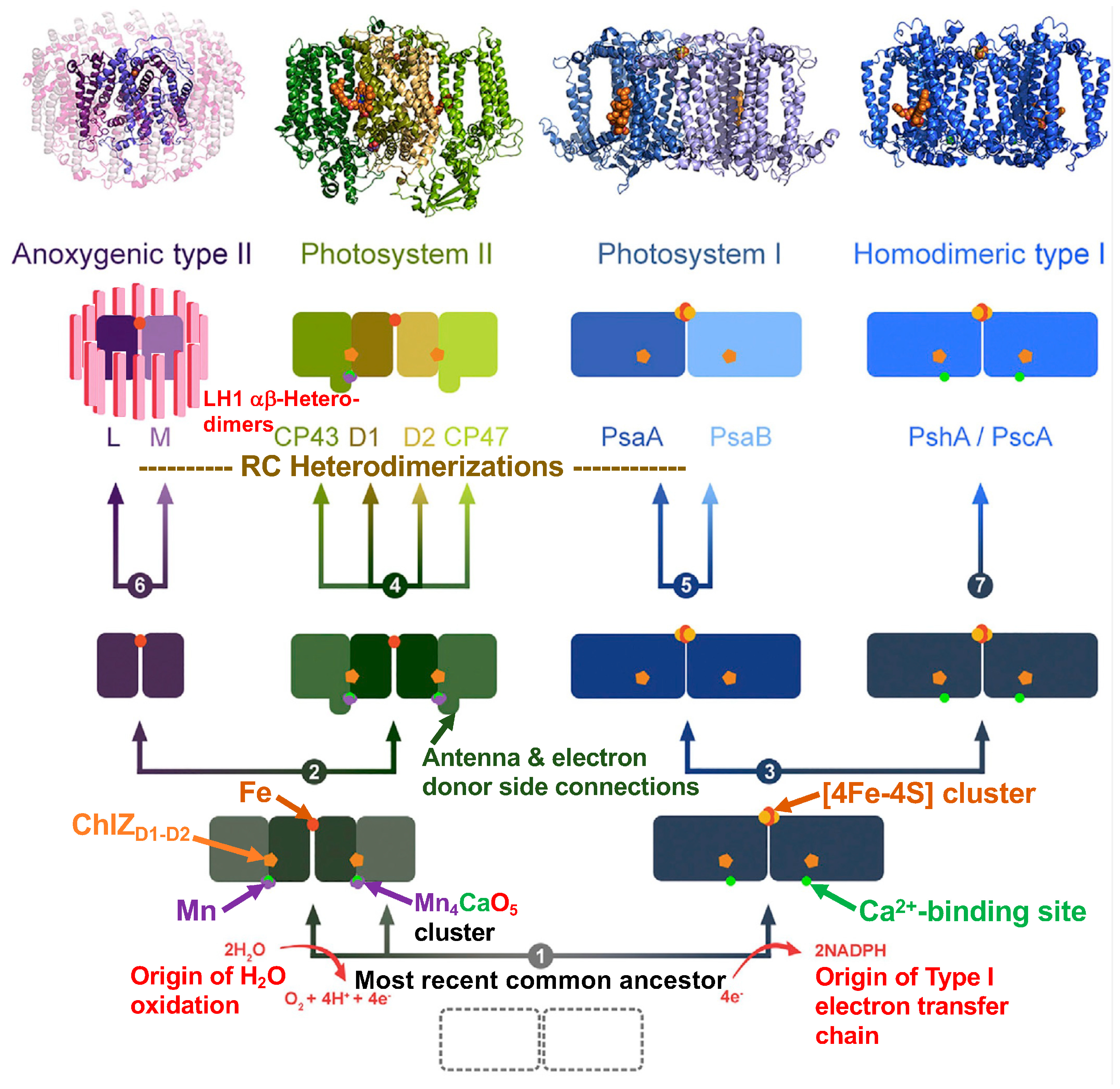 Biomolecules 14 00311 g010 Biomolecules 14 00311 g010