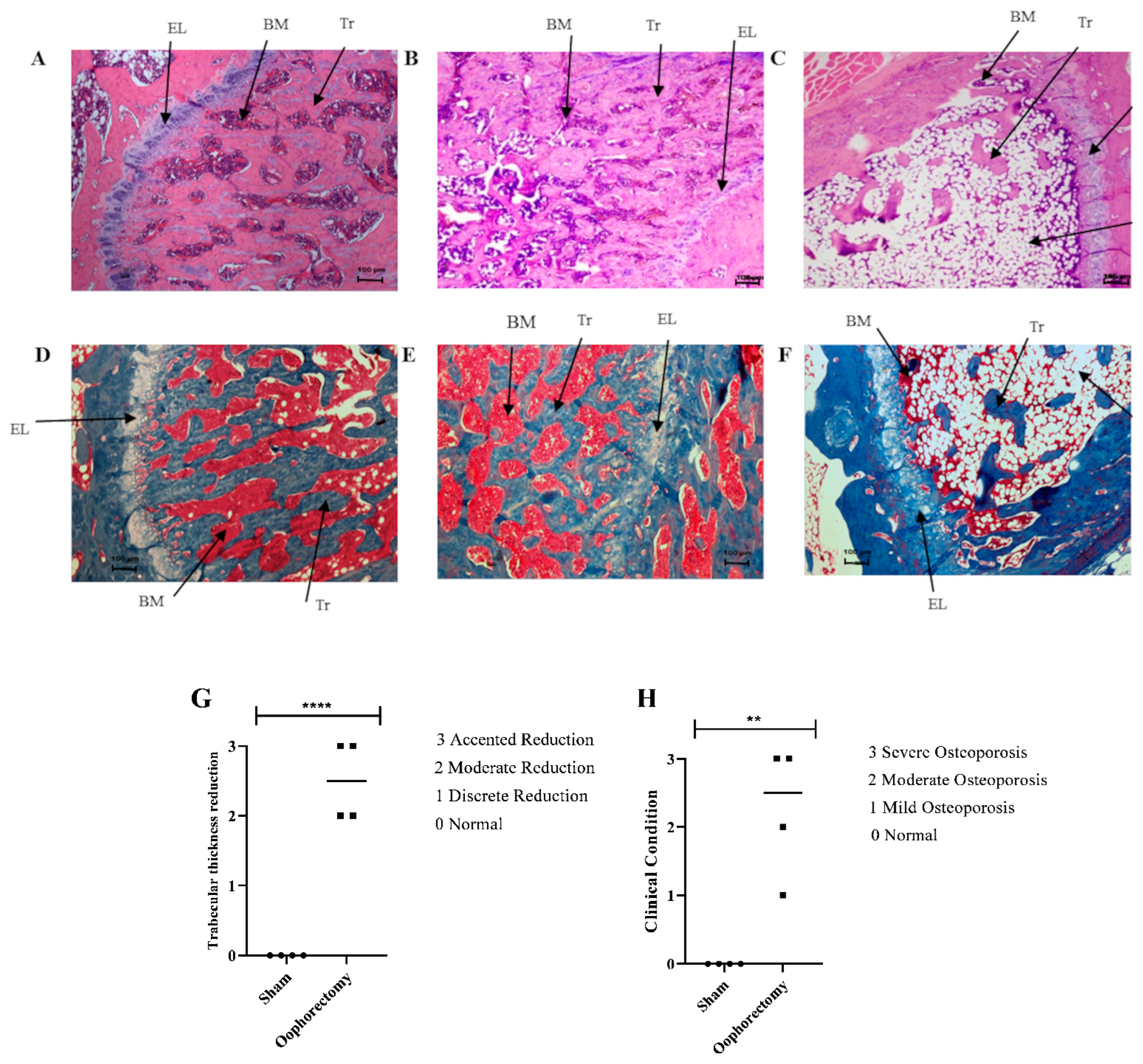 Biomolecules 14 00317 g005