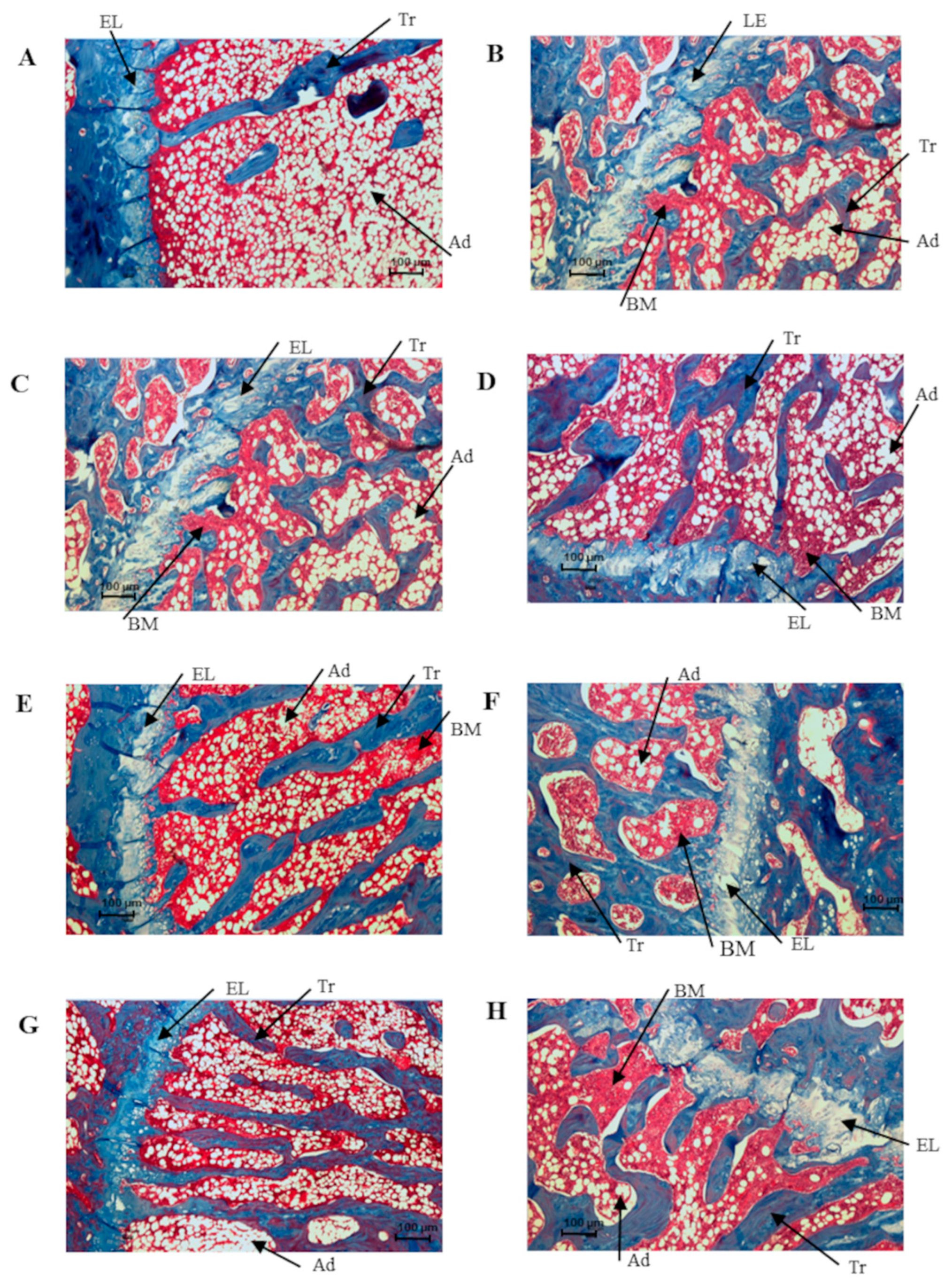Biomolecules 14 00317 g006