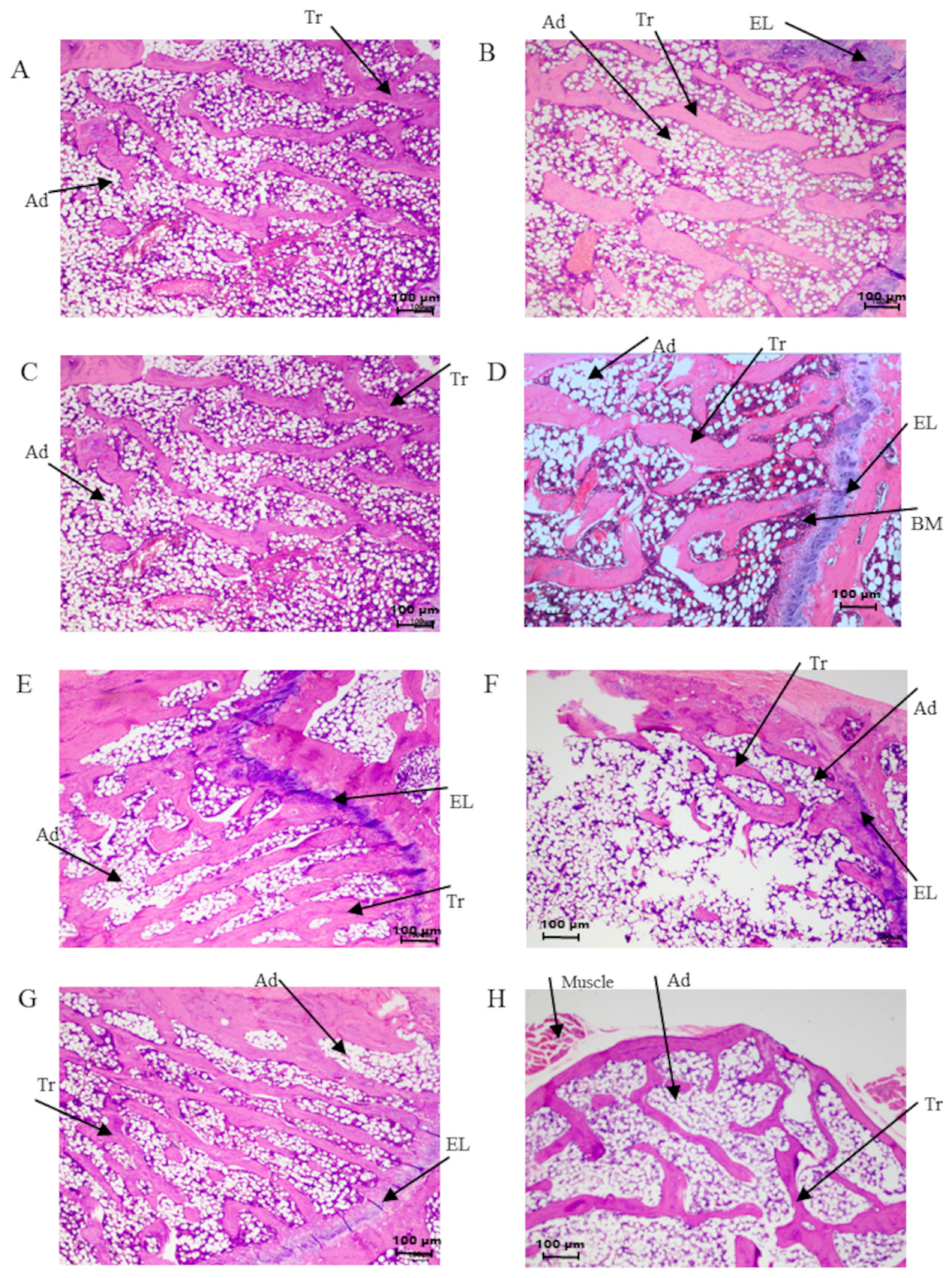 Biomolecules 14 00317 g007