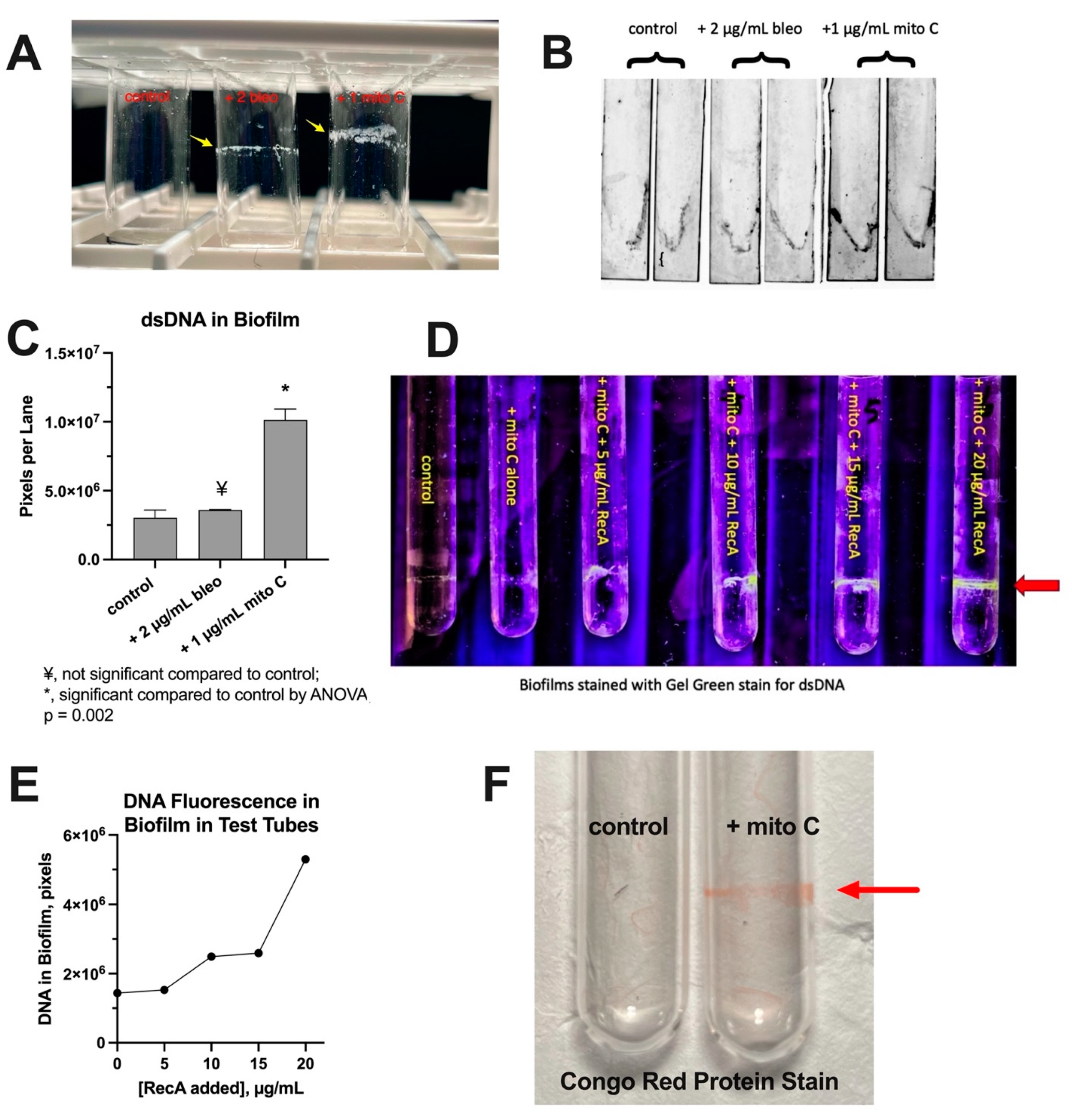 Biomolecules 14 00321 g004