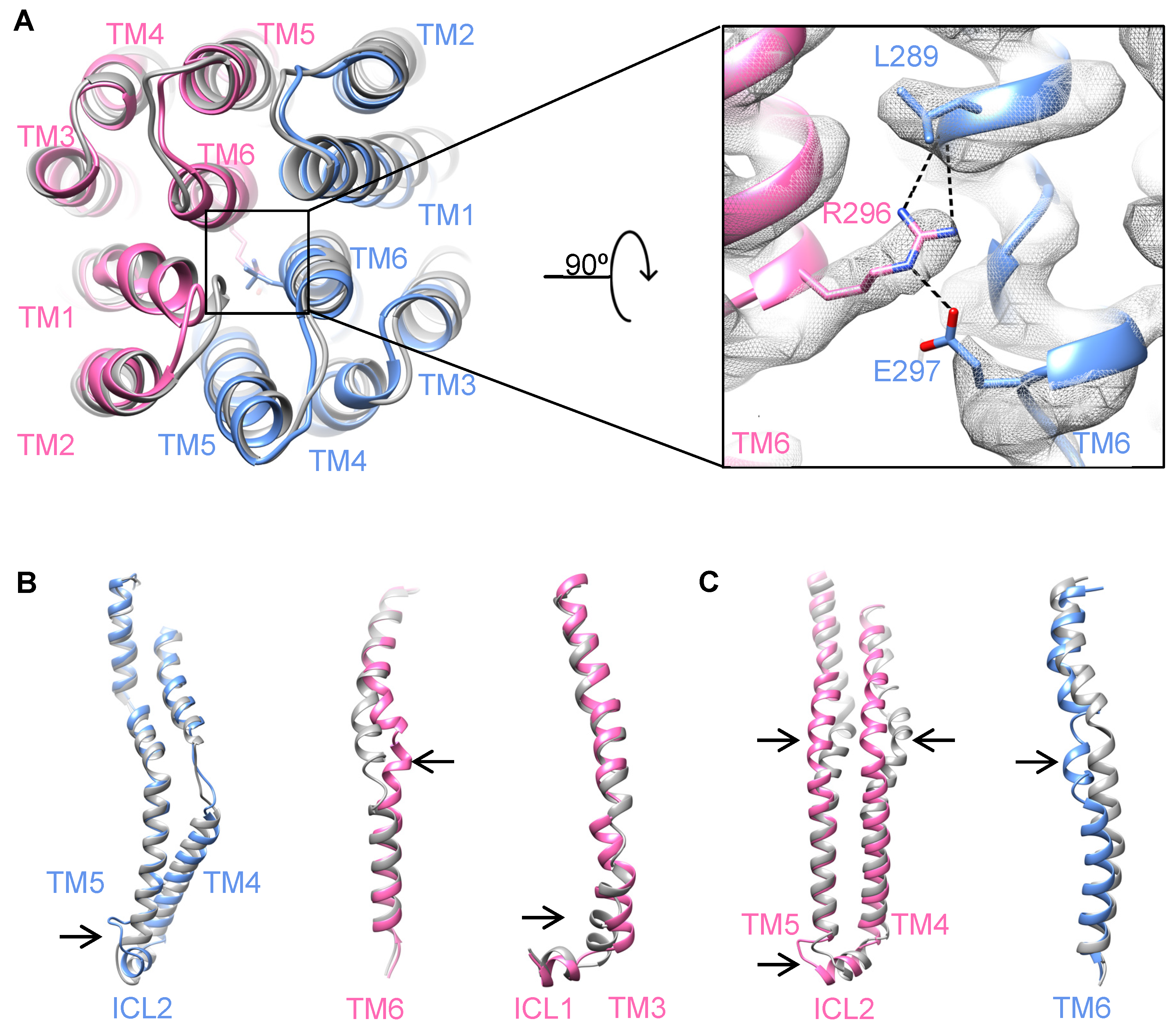 Biomolecules 14 00322 g002