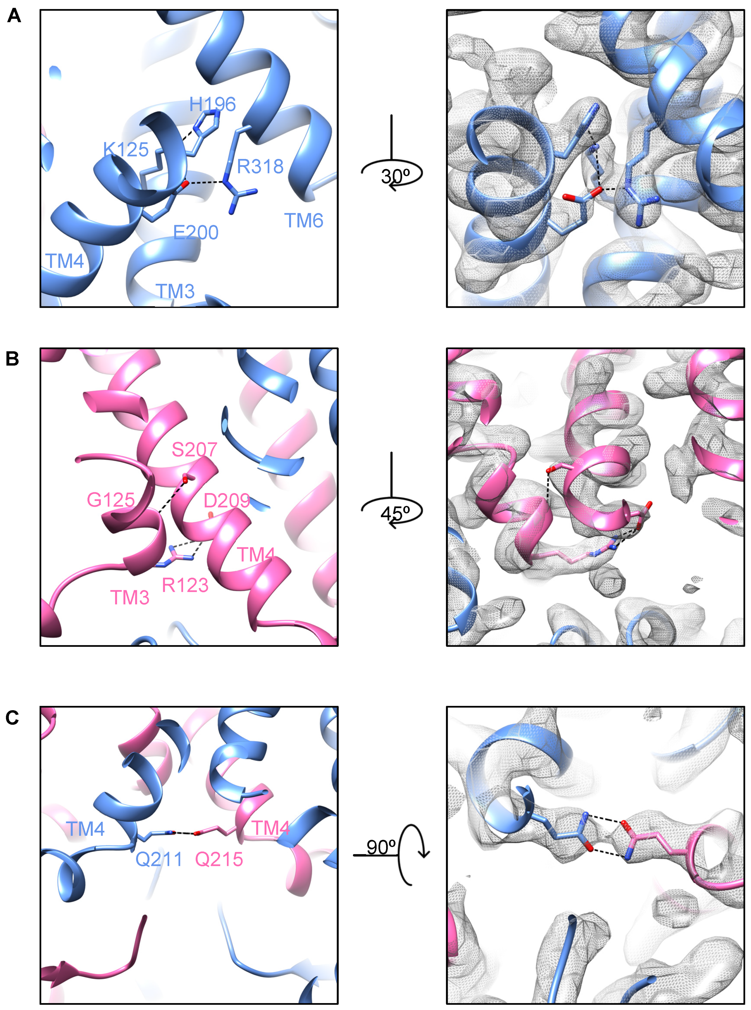 Biomolecules 14 00322 g003