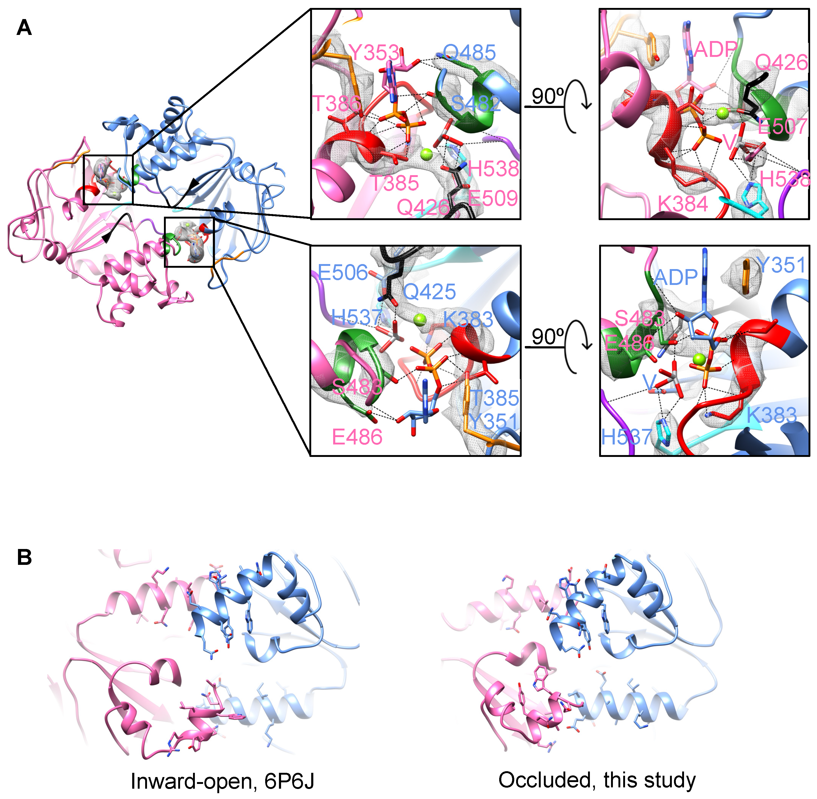 Biomolecules 14 00322 g004