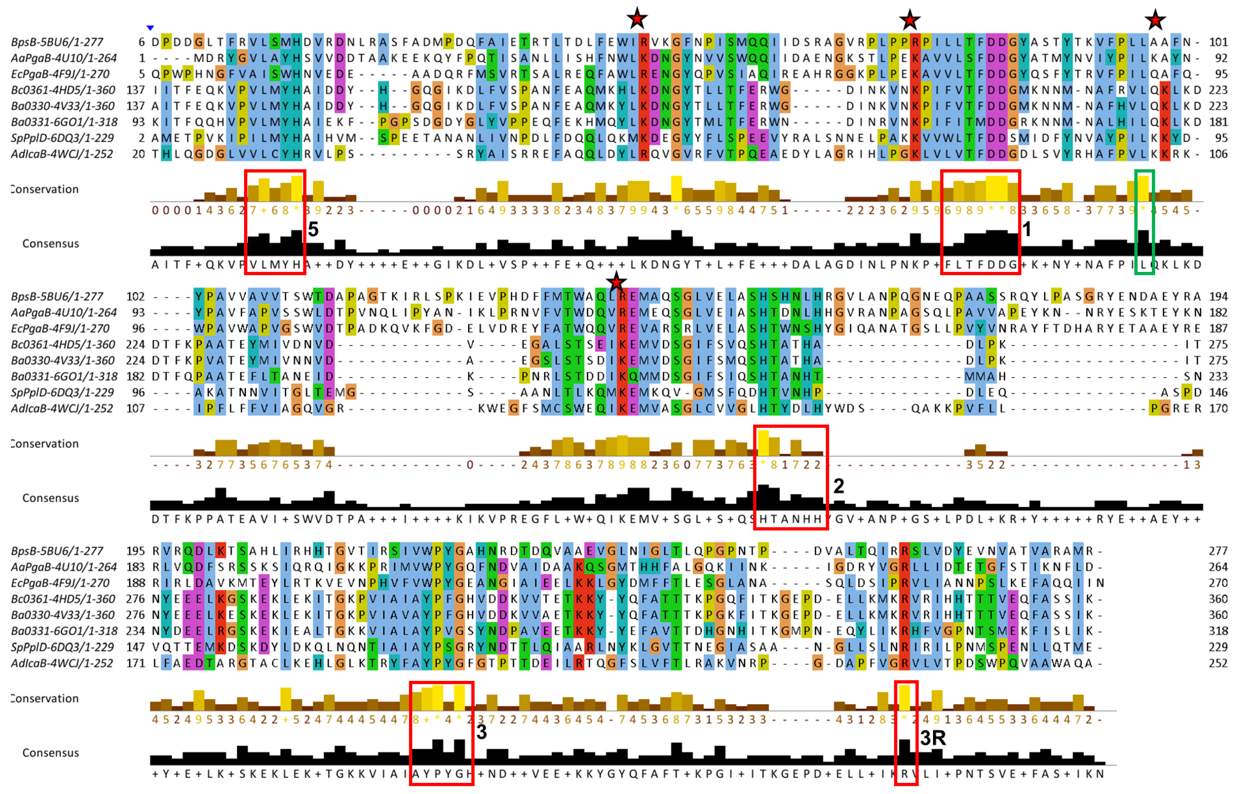 Biomolecules 14 00325 g006 Biomolecules 14 00325 g006