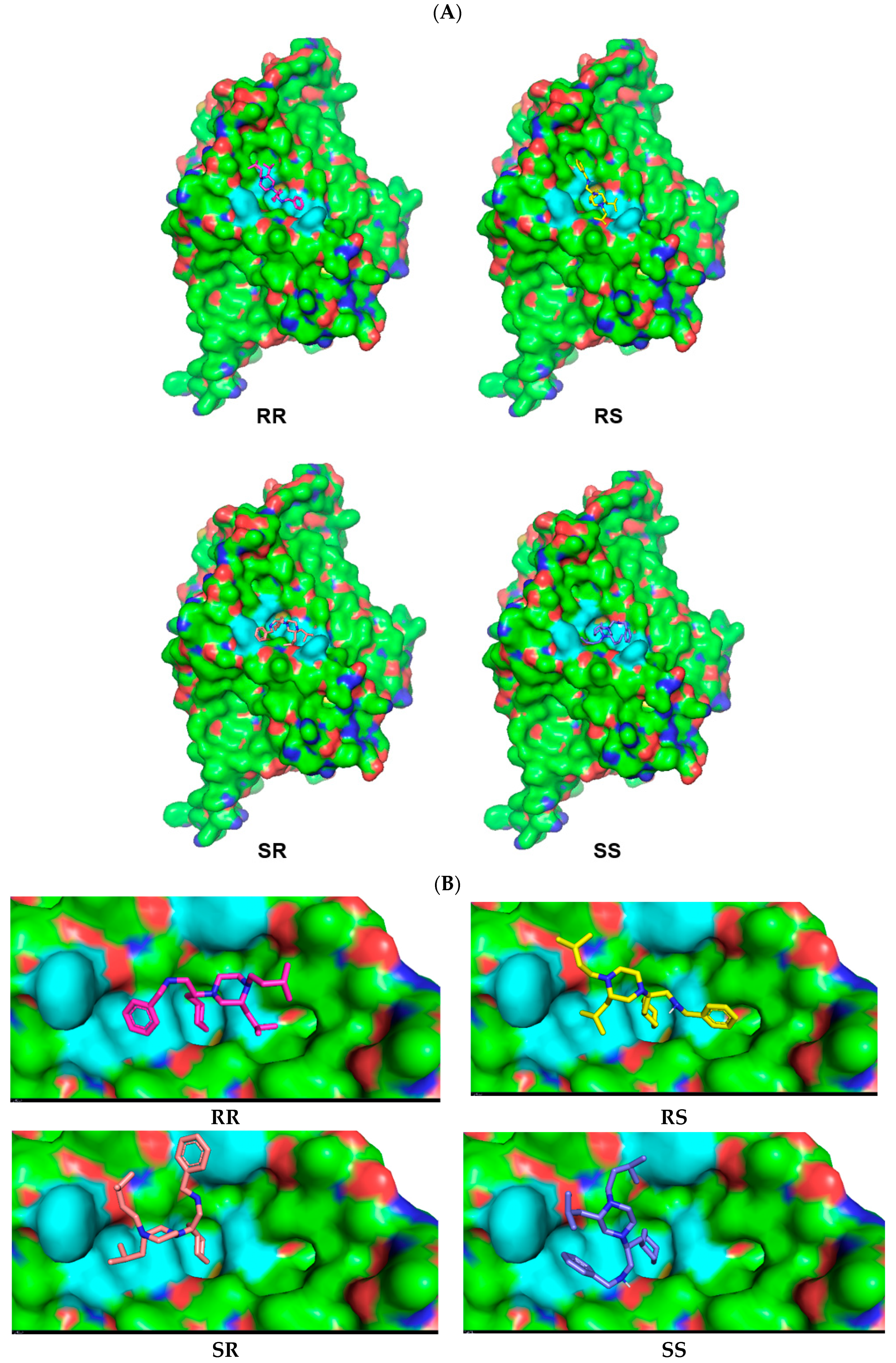 Biomolecules 14 00326 g003a