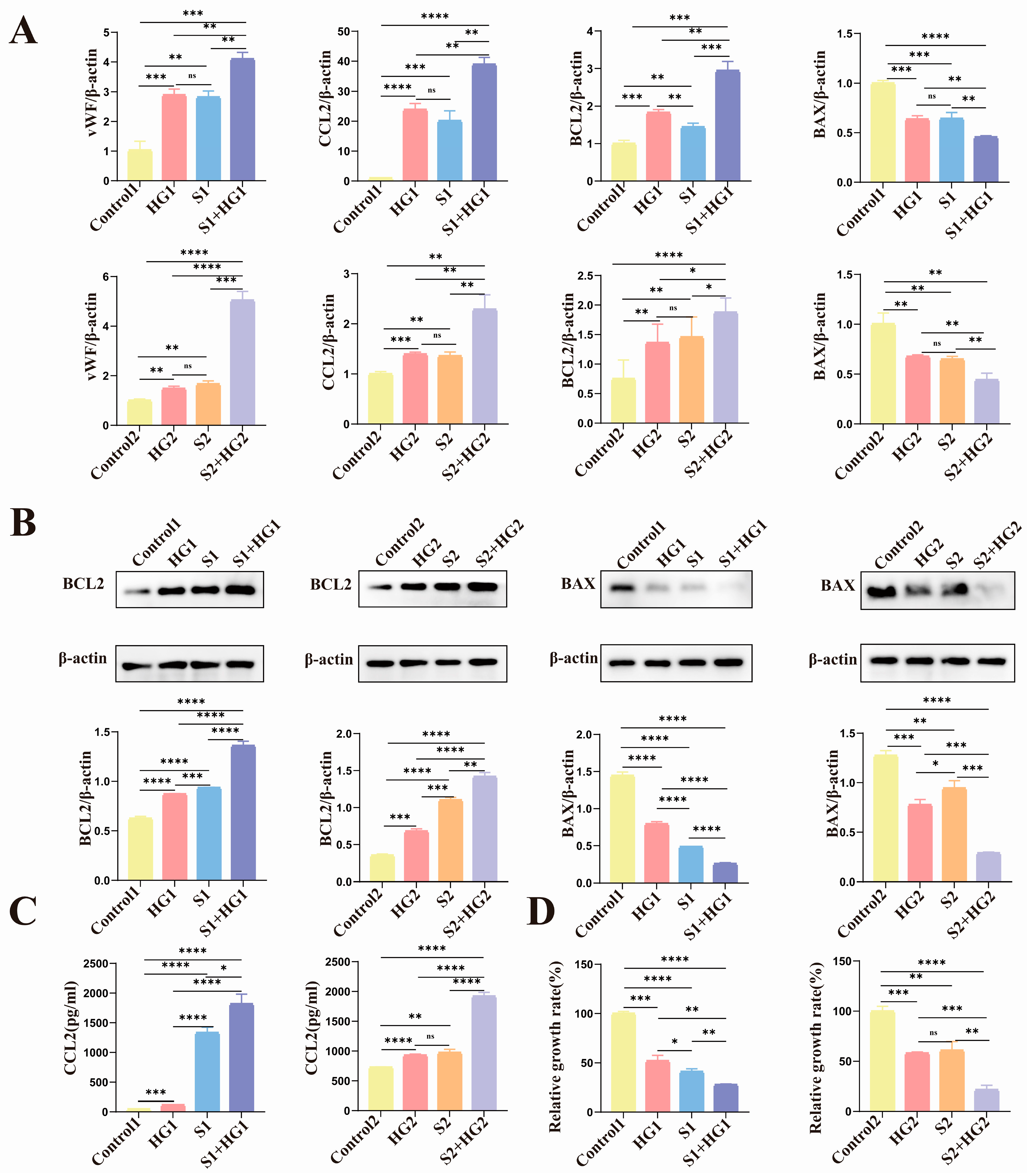 Biomolecules 14 00329 g003