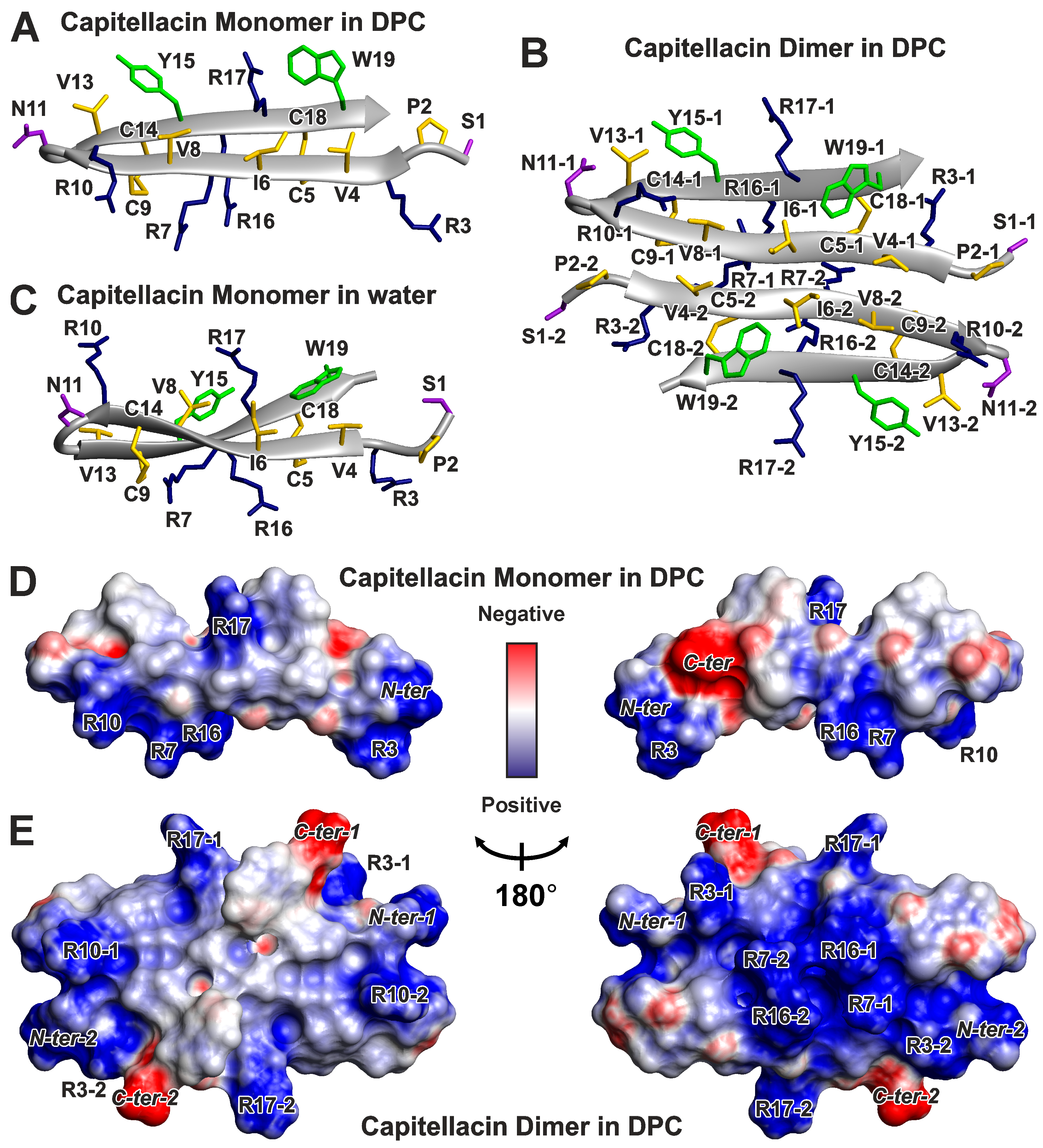 Biomolecules 14 00332 g003 Biomolecules 14 00332 g003