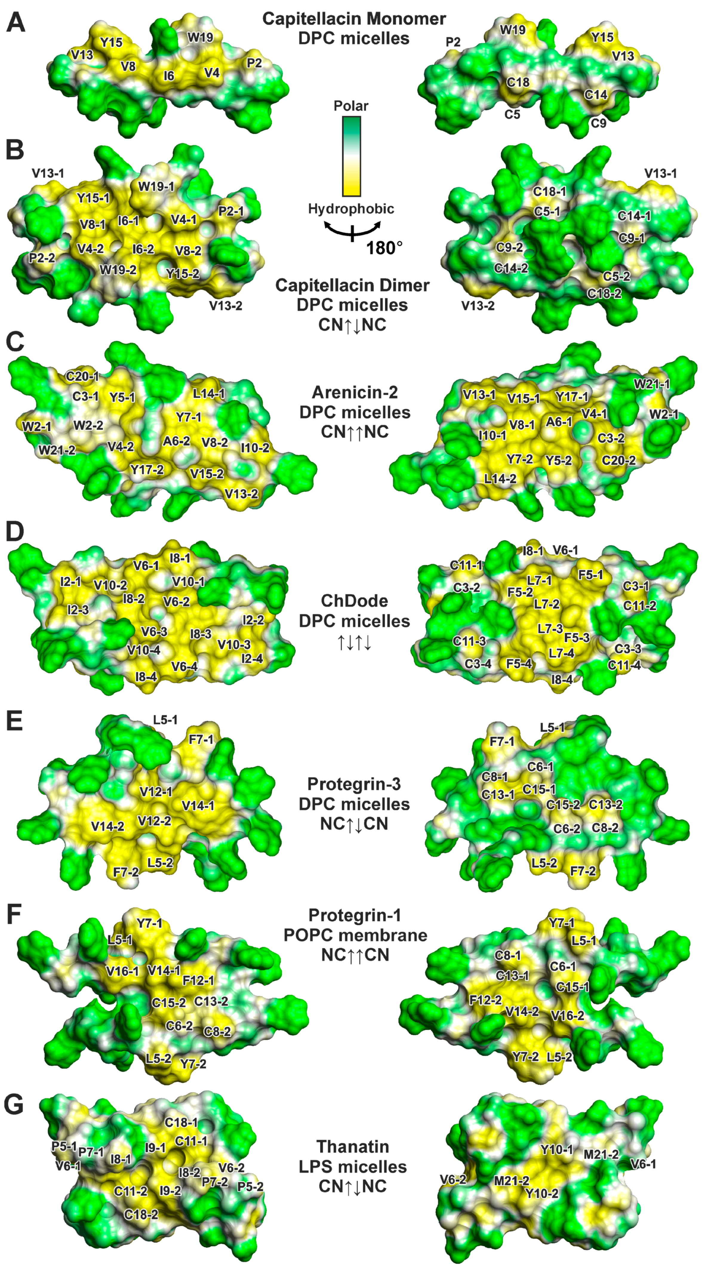 Biomolecules 14 00332 g004 Biomolecules 14 00332 g004