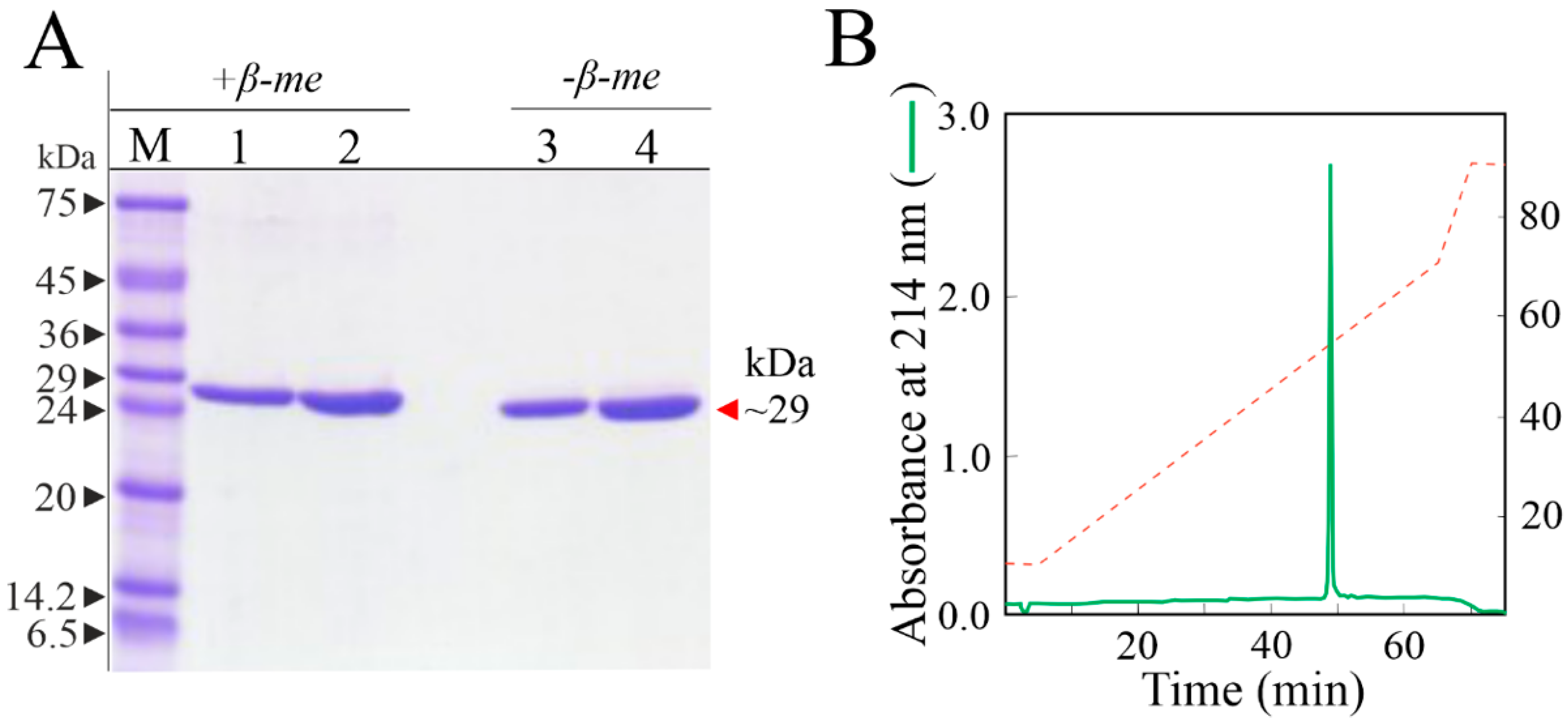 Biomolecules 14 00336 g001