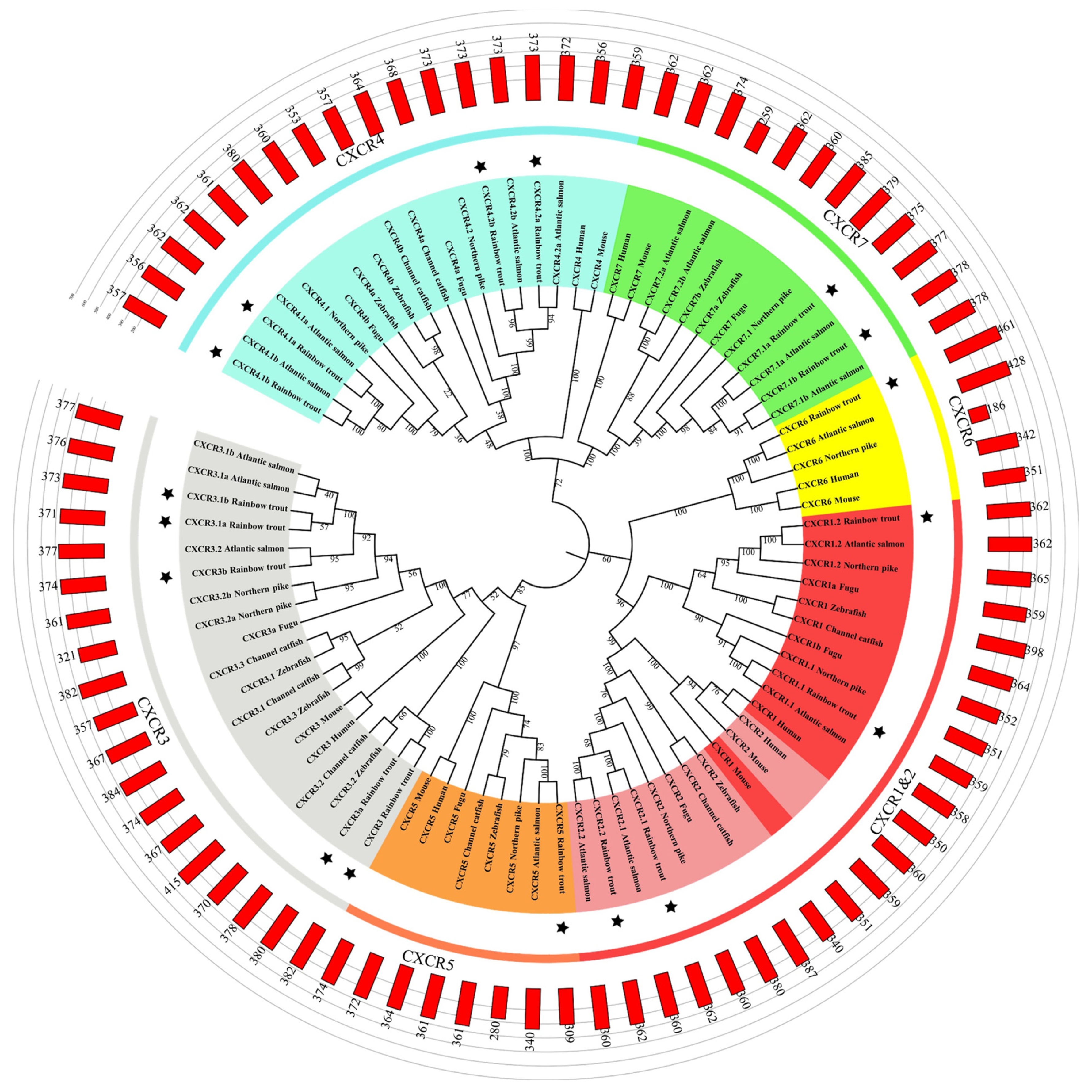 Biomolecules 14 00337 g001