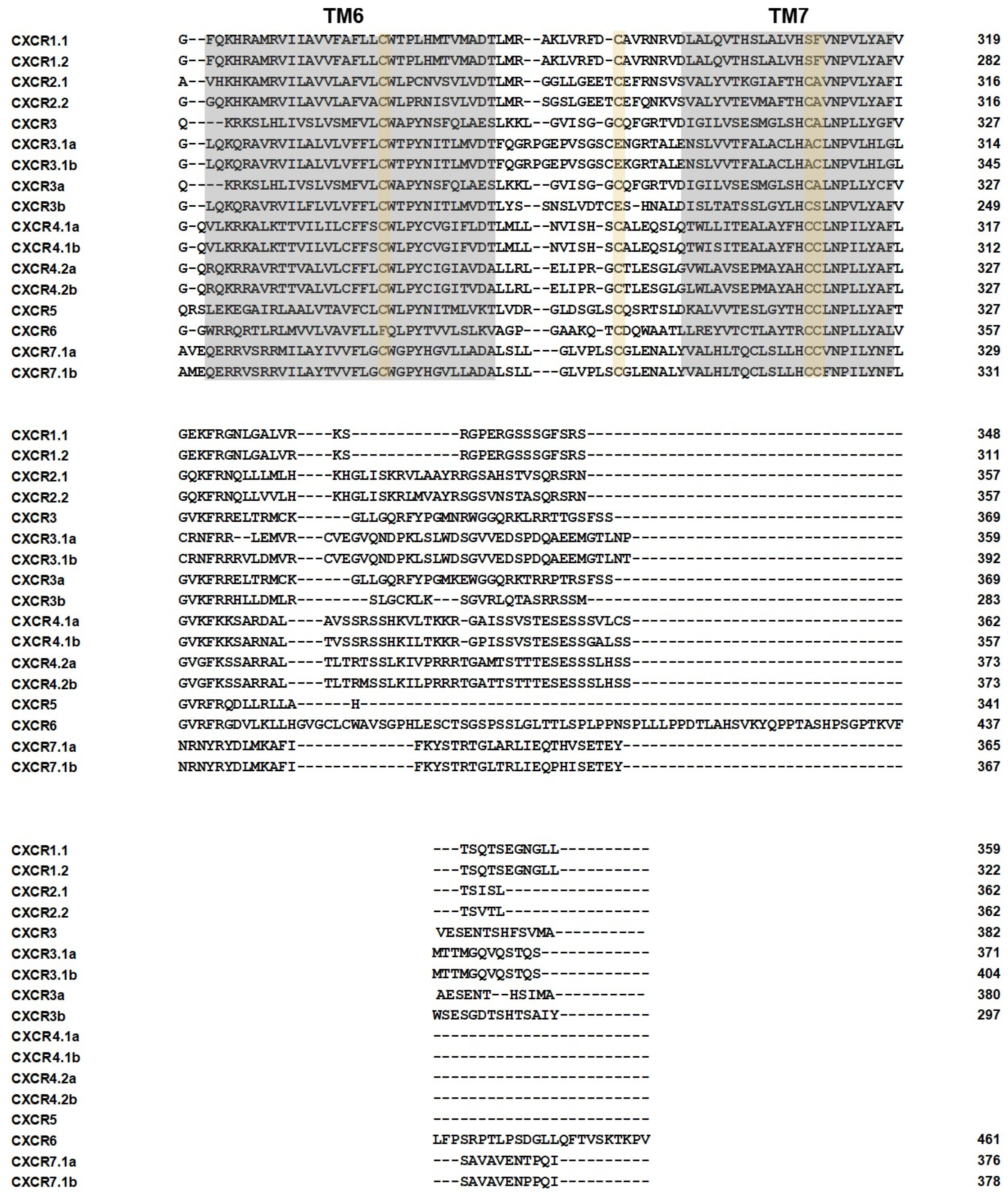 Biomolecules 14 00337 g002b