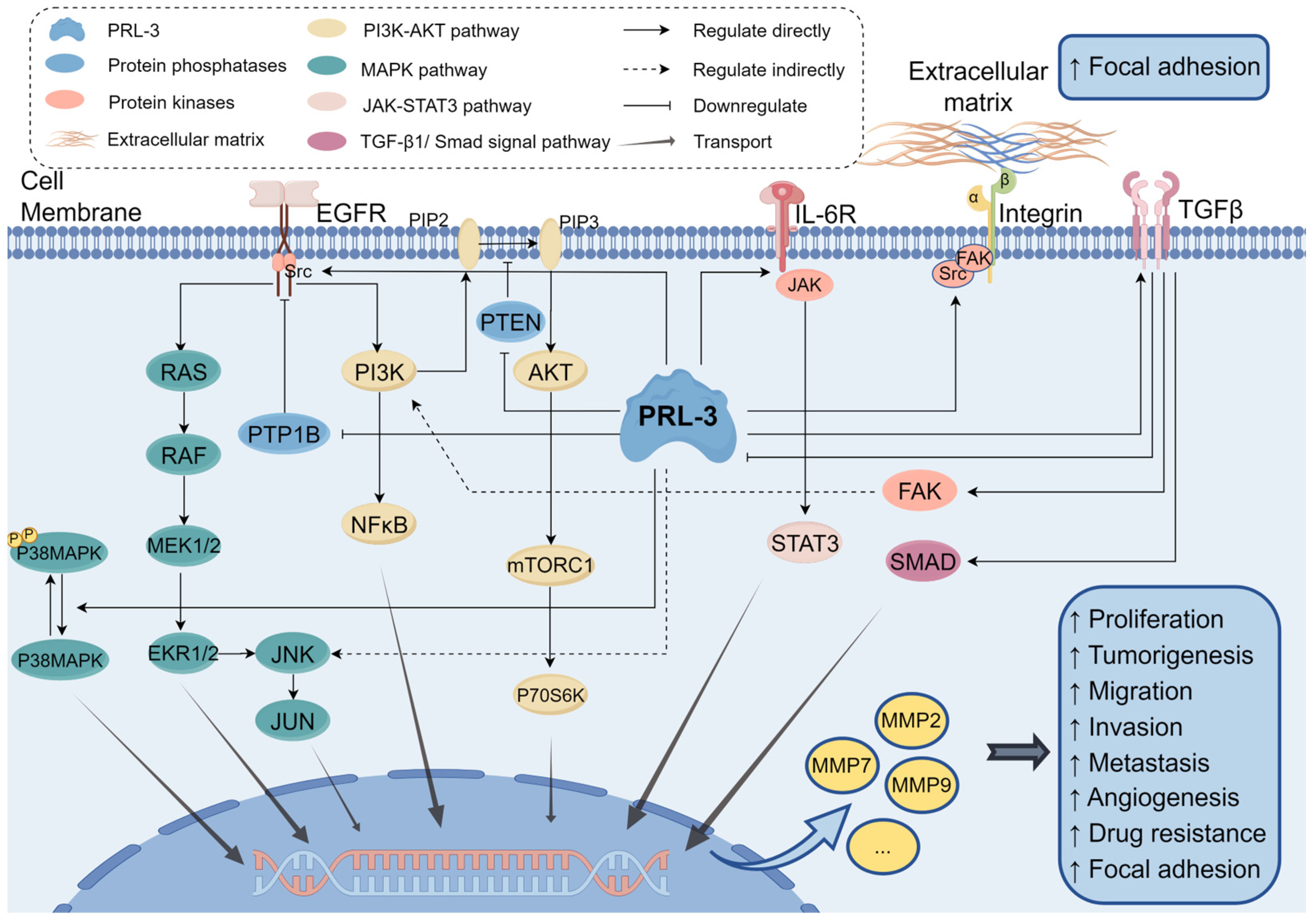 Biomolecules 14 00342 g004 Biomolecules 14 00342 g004