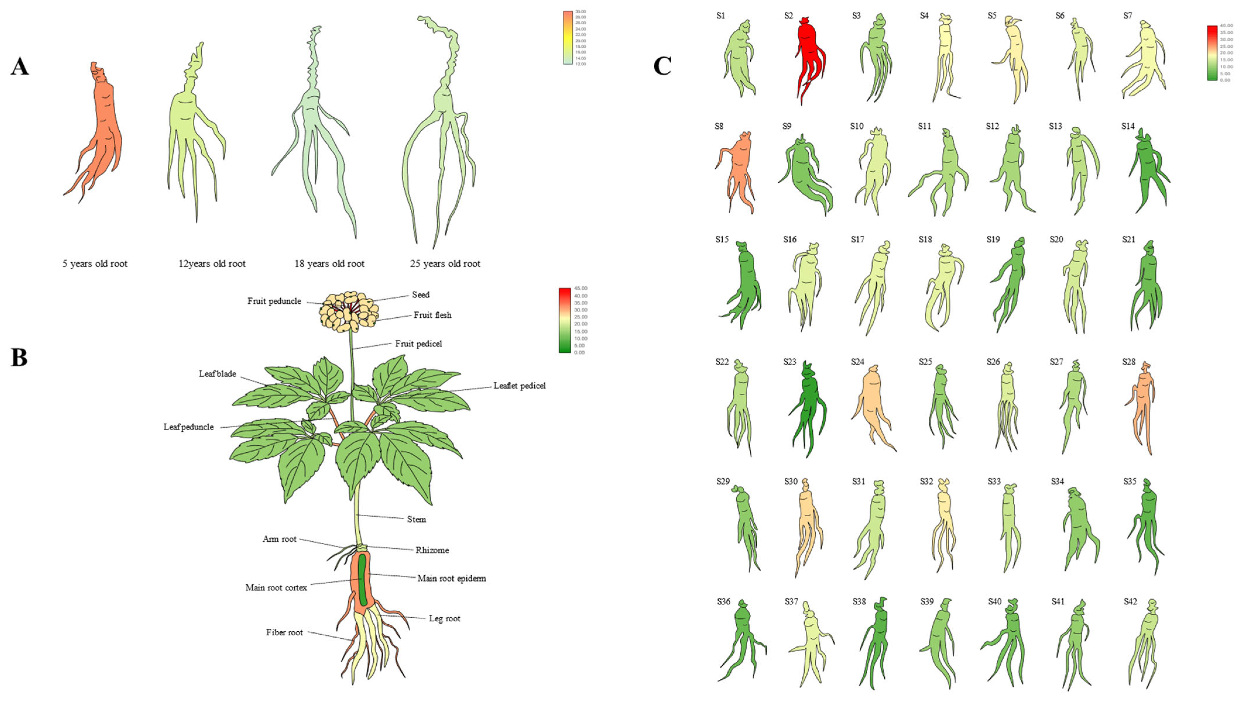Biomolecules 14 00345 g005