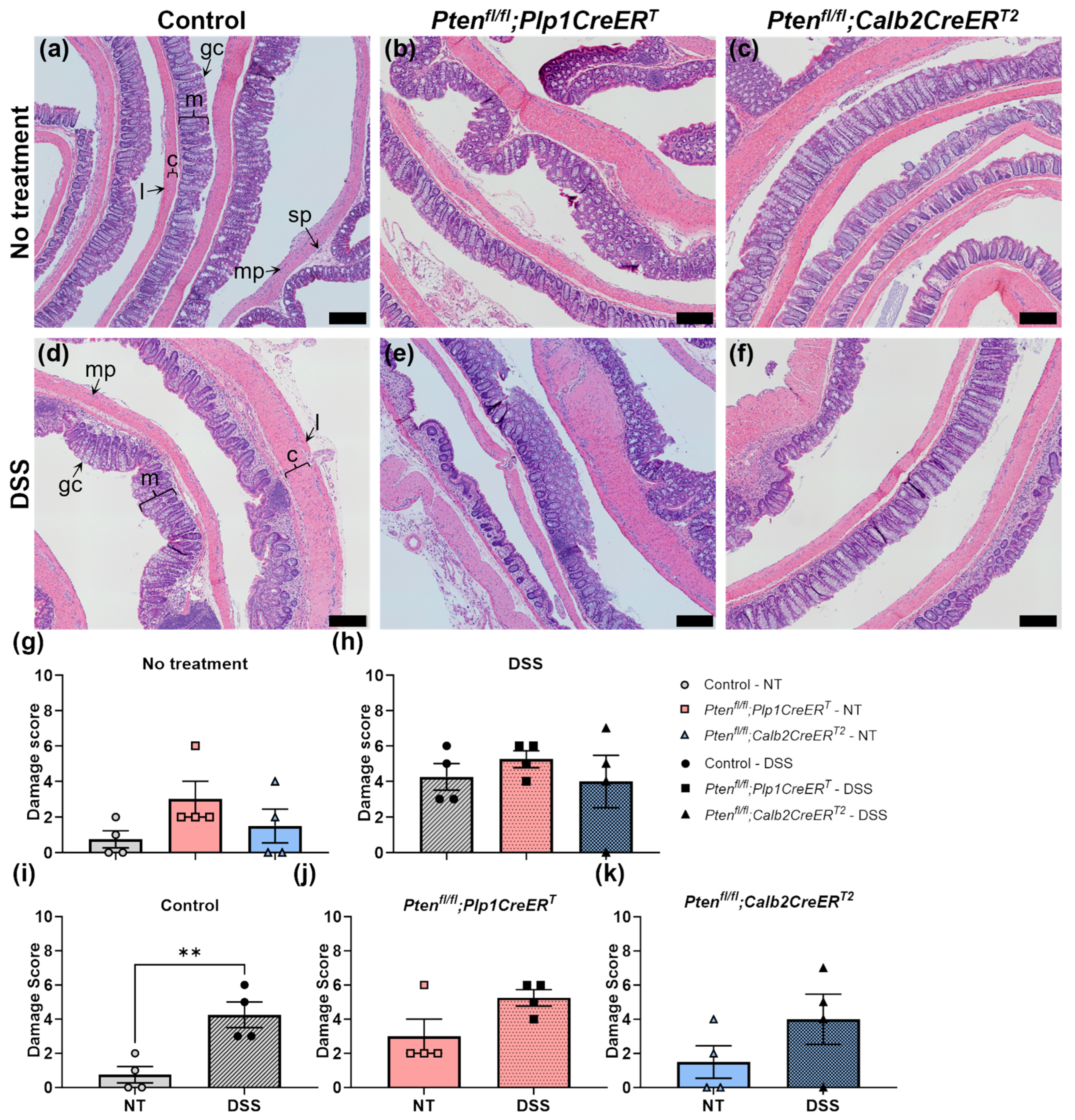 Biomolecules 14 00346 g003