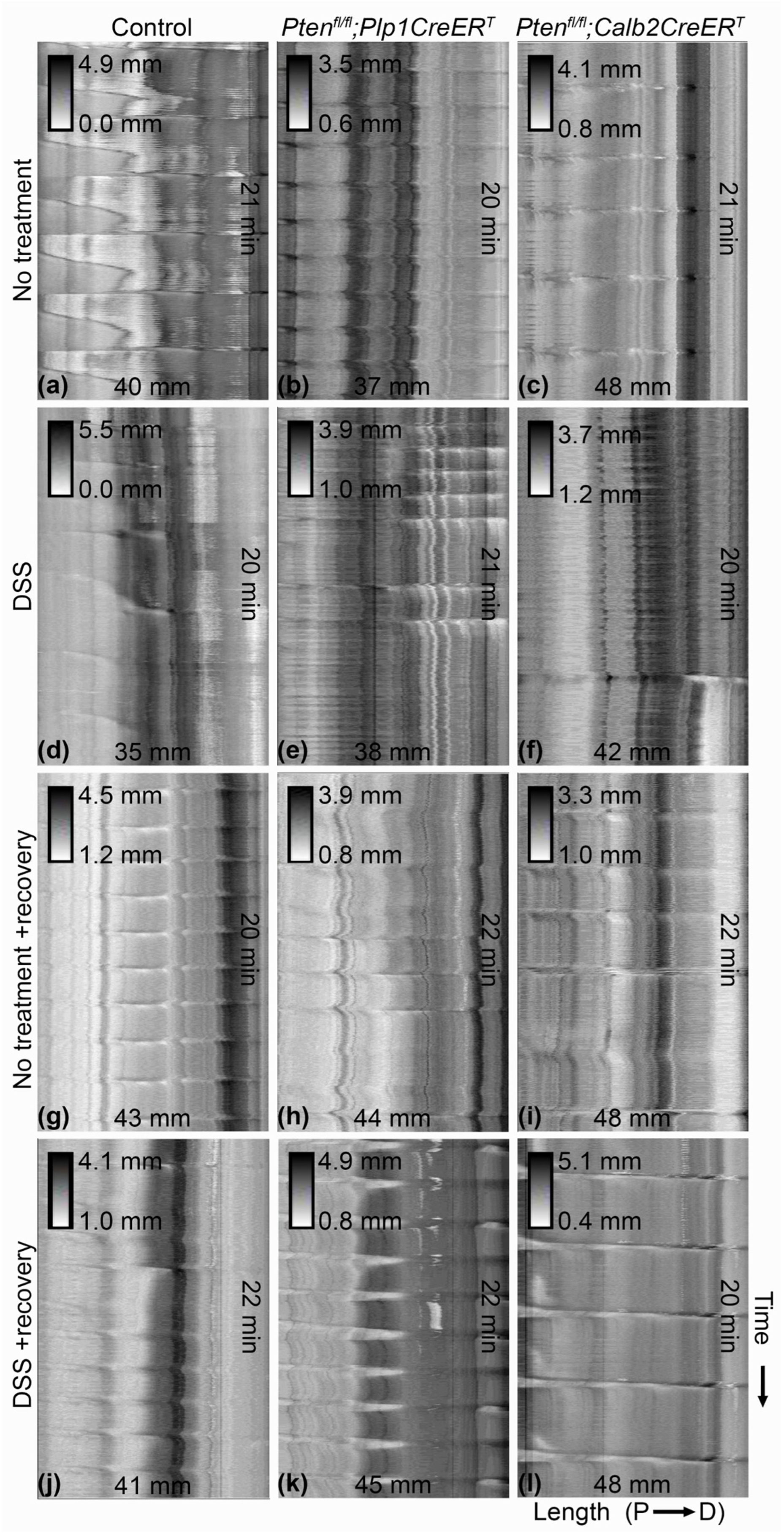 Biomolecules 14 00346 g004