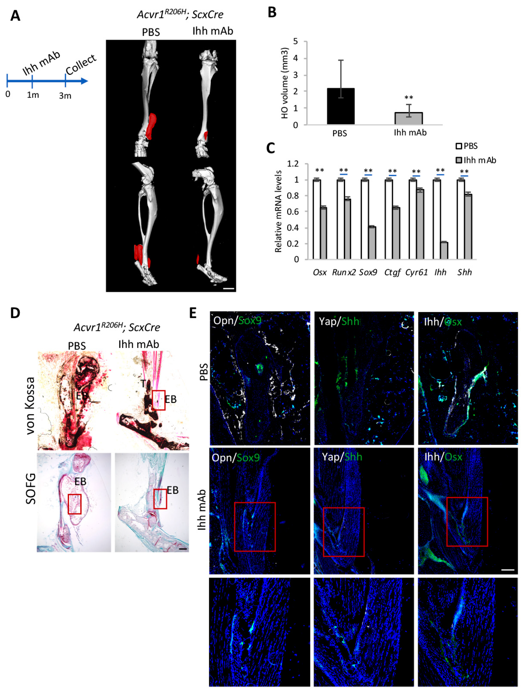 Biomolecules 14 00347 g002