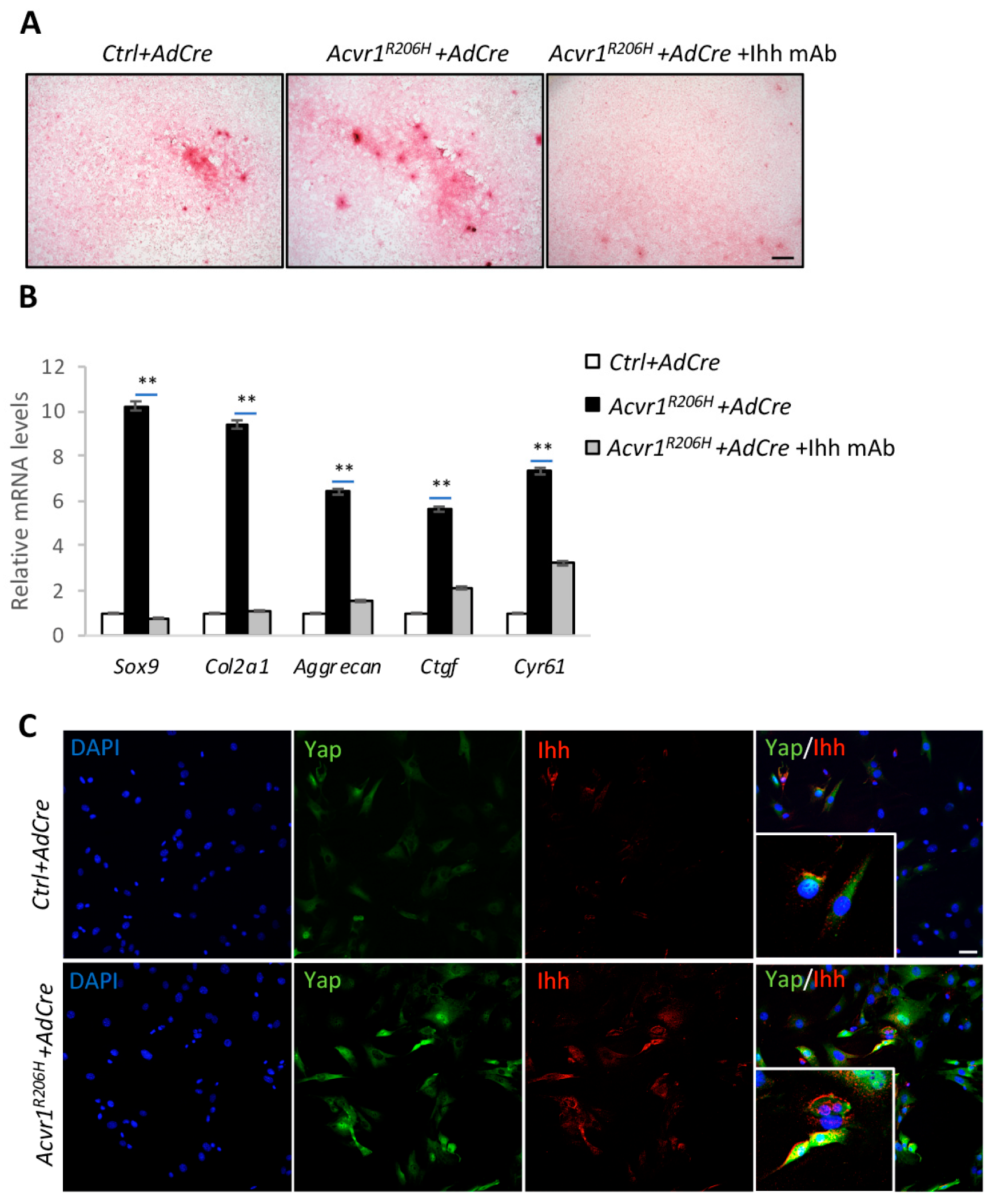 Biomolecules 14 00347 g004