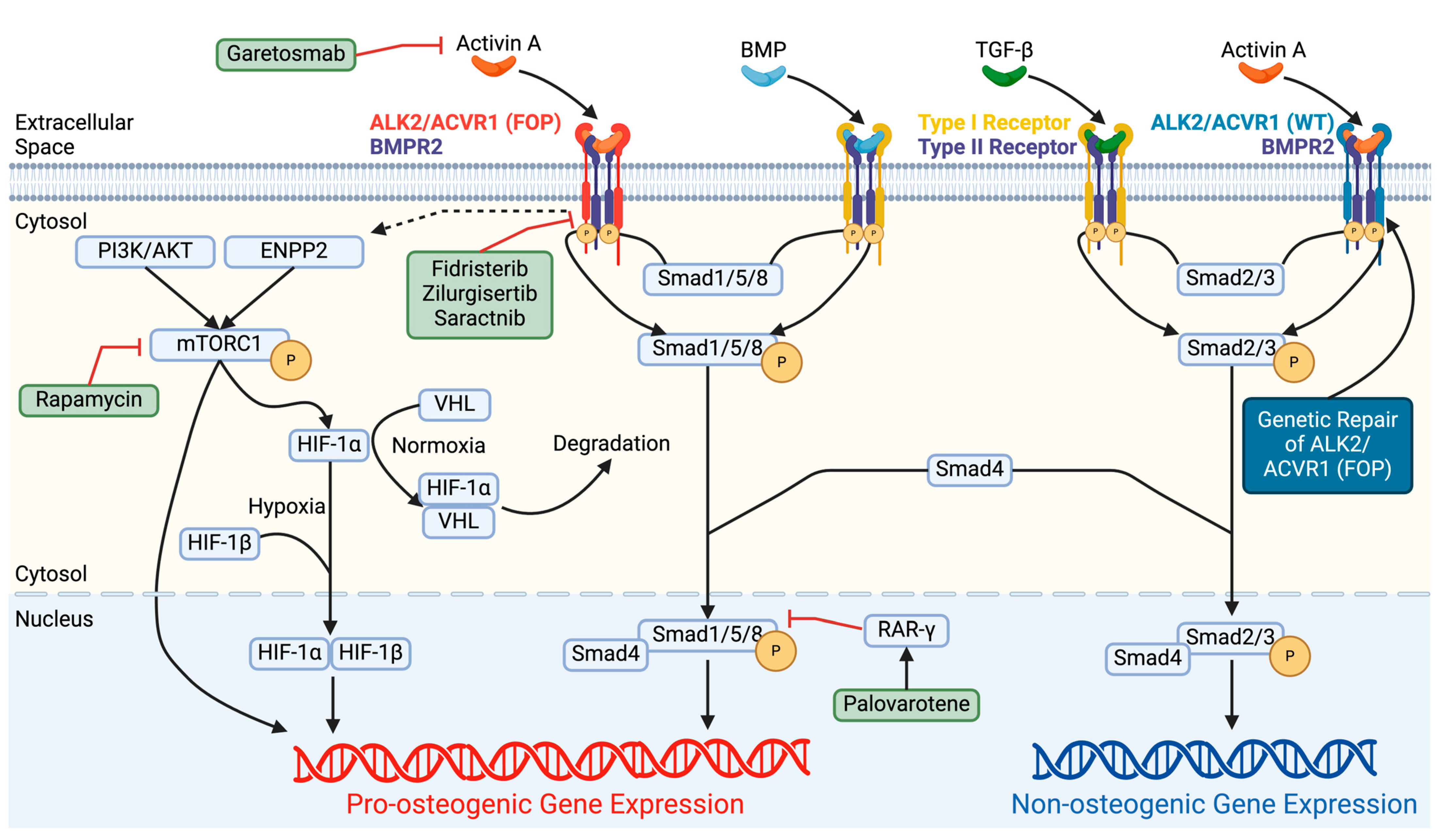 Biomolecules 14 00349 g002