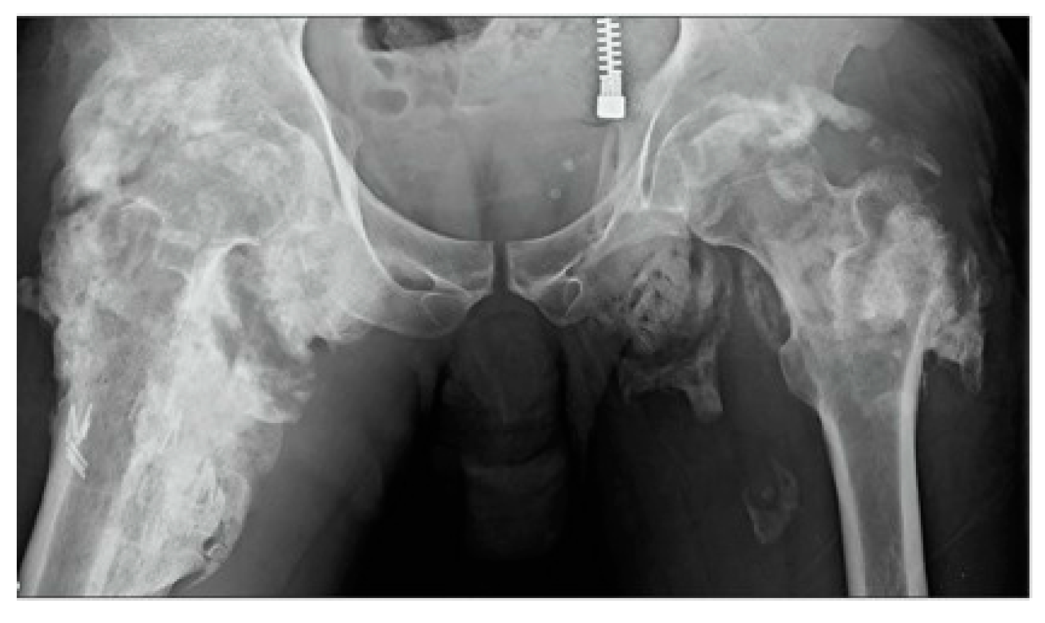 Biomolecules 14 00349 g003