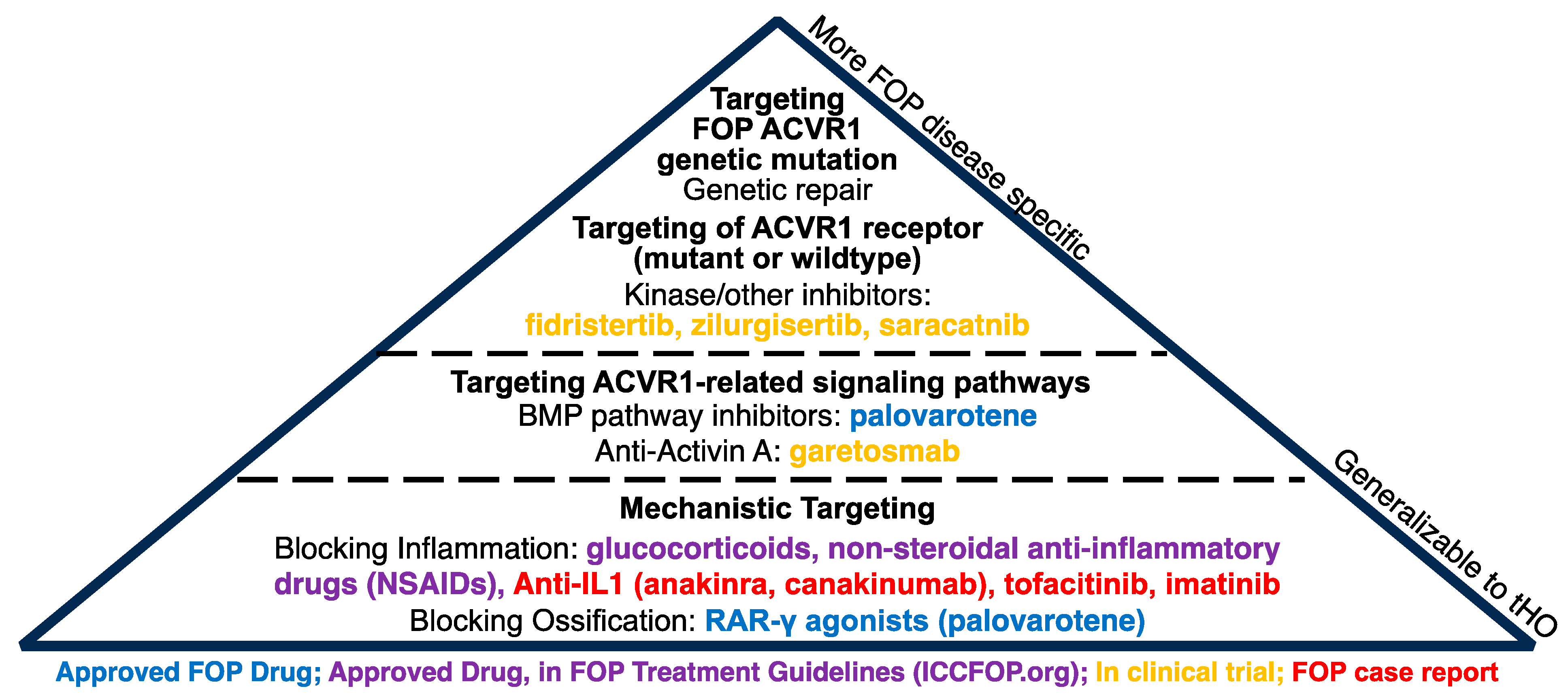 Biomolecules 14 00349 g004