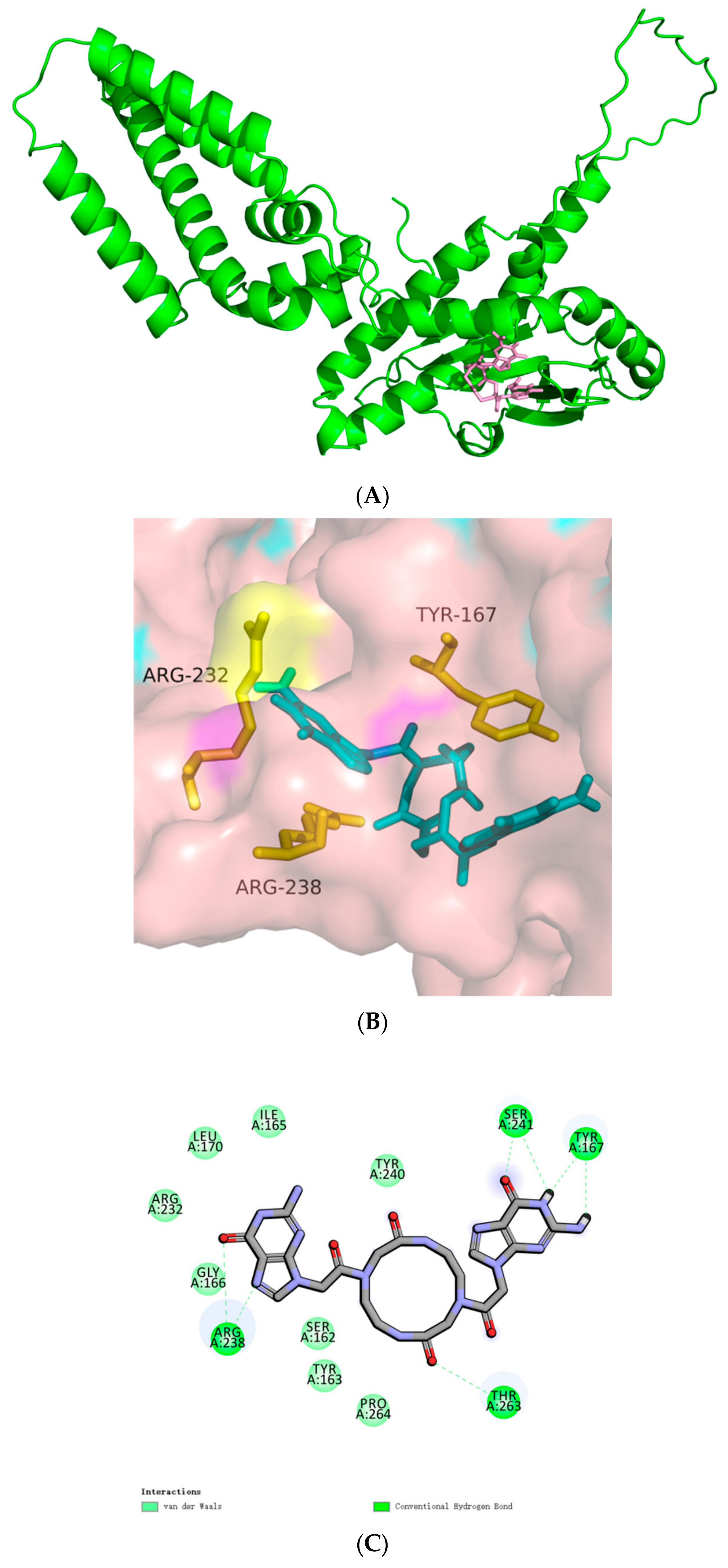 Biomolecules 14 00350 g009